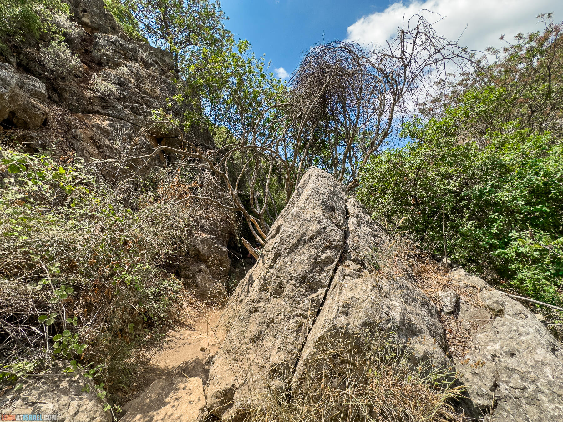 Ручей  Нахаль Амуд и Нахаль Сехви