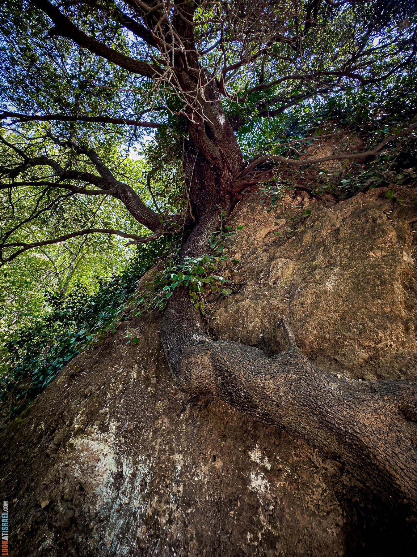 Ручей  Нахаль Амуд и Нахаль Сехви