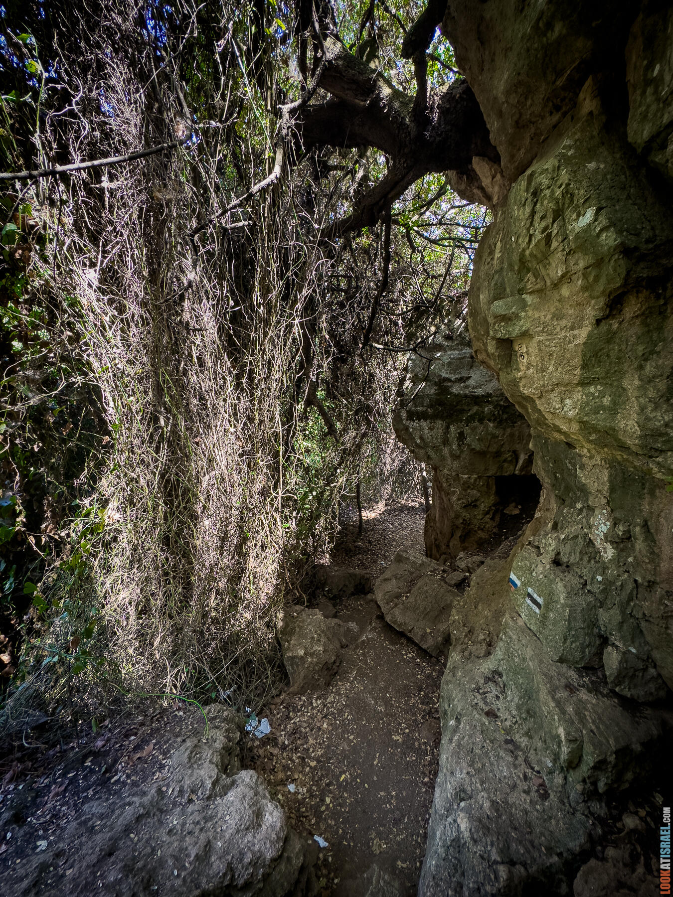 Ручей  Нахаль Амуд и Нахаль Сехви