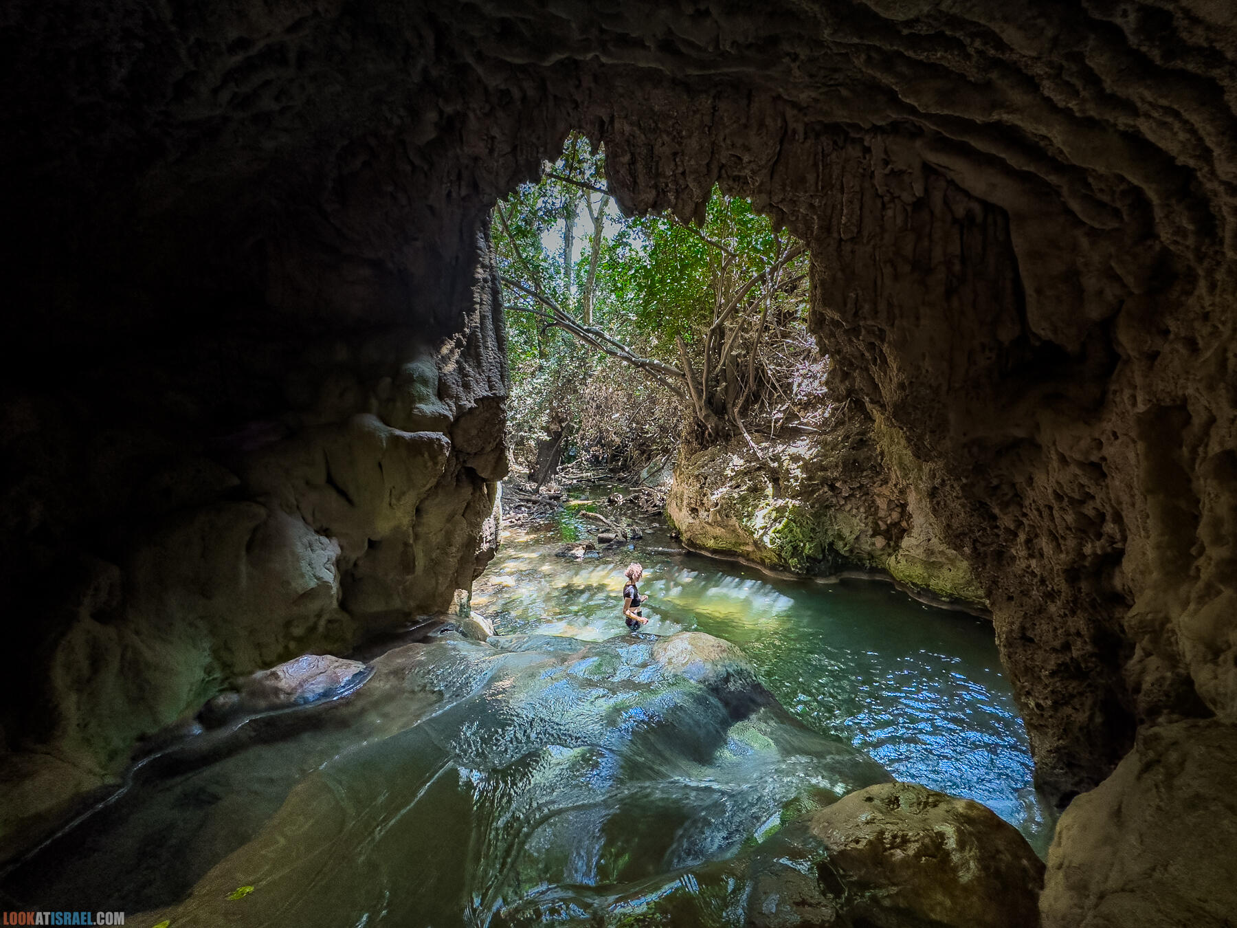 Сехви, Амуд, Мирон — где диких петухов был дом? 