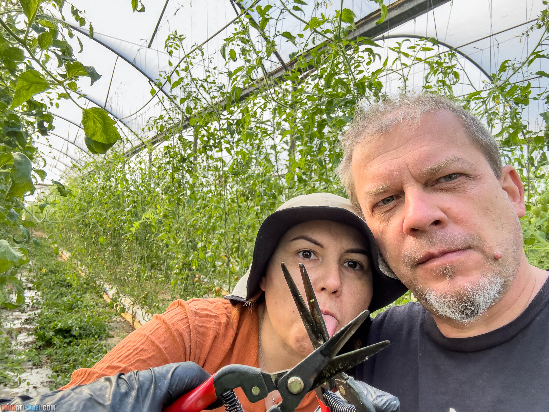 Помощь израильским фермерам во время войны 