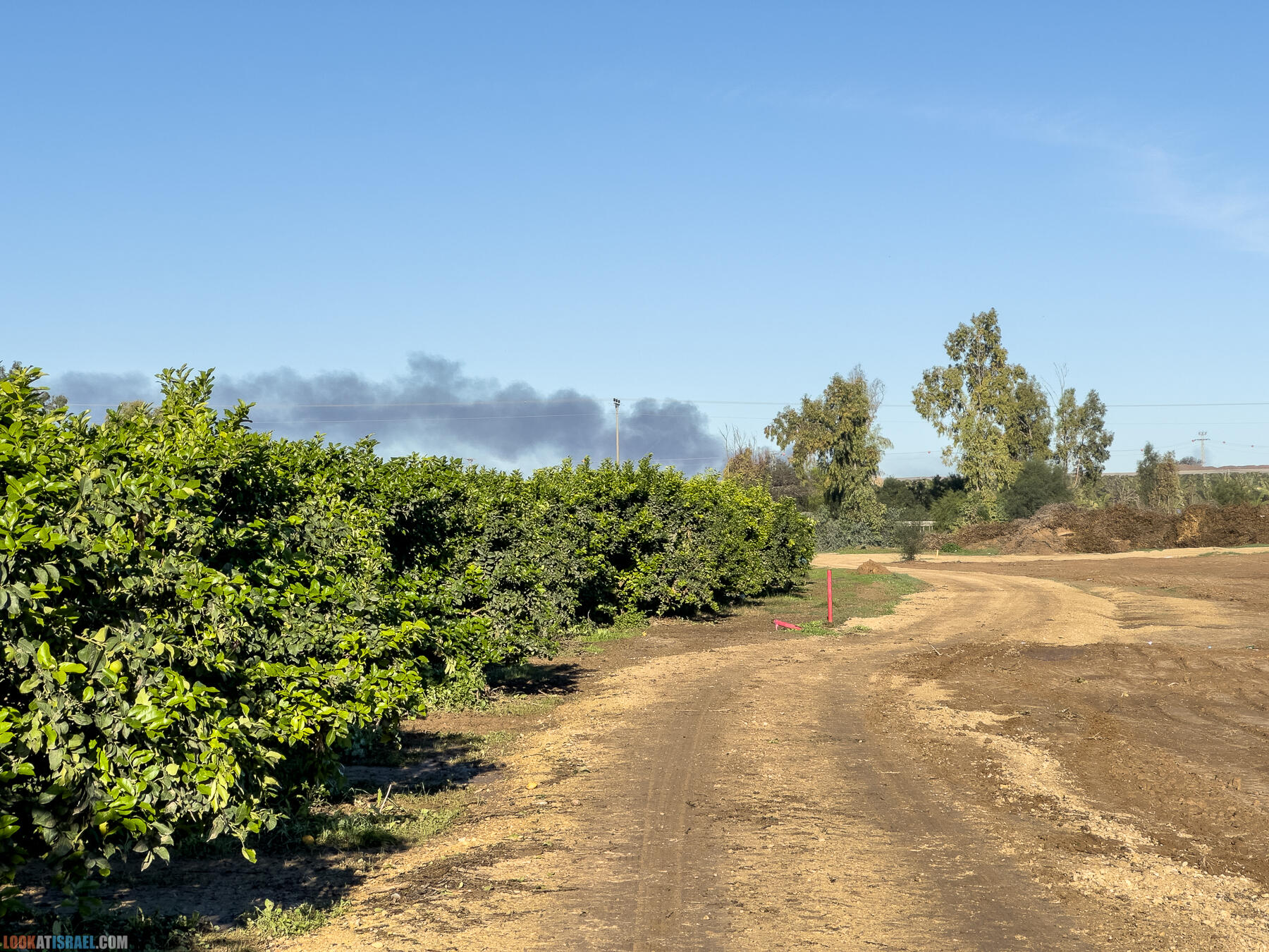 Помощь израильским фермерам во время войны 