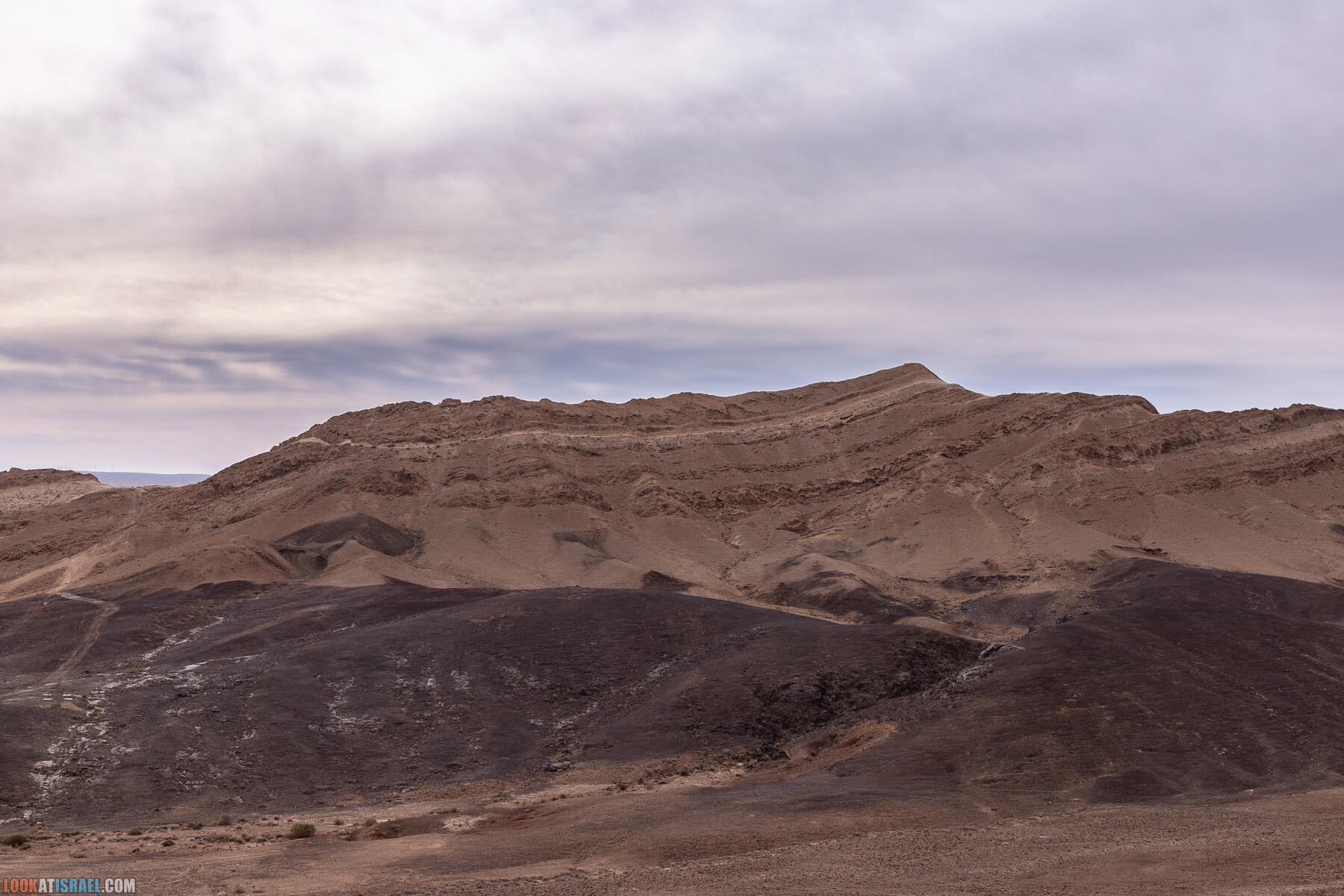 Путешествие корги на джипе в Эйлат и долину Арава - Махтеш Рамон, стена аммонитов, дюна Касуй, каньон Атек, дюна Самар, дум пальмы