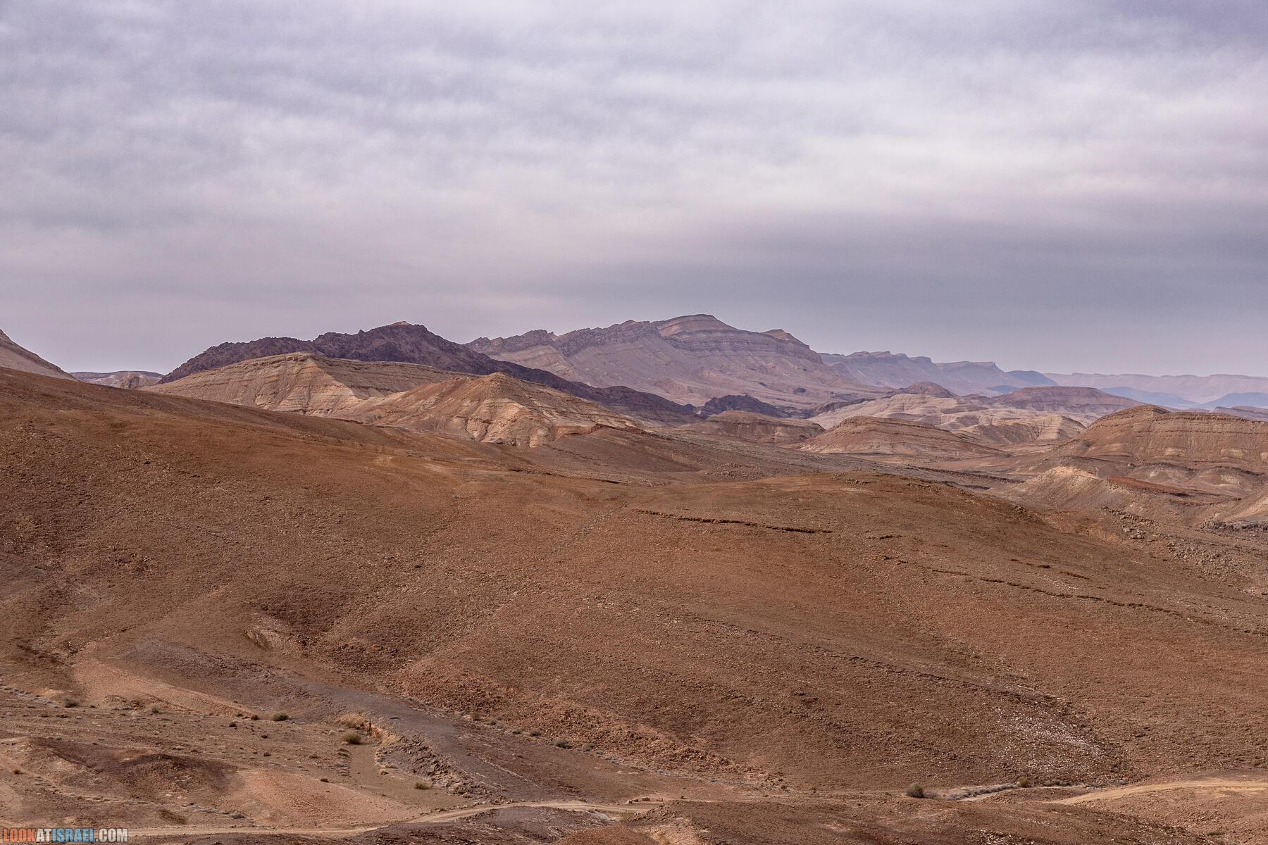 Путешествие корги на джипе в Эйлат и долину Арава - Махтеш Рамон, стена аммонитов, дюна Касуй, каньон Атек, дюна Самар, дум пальмы