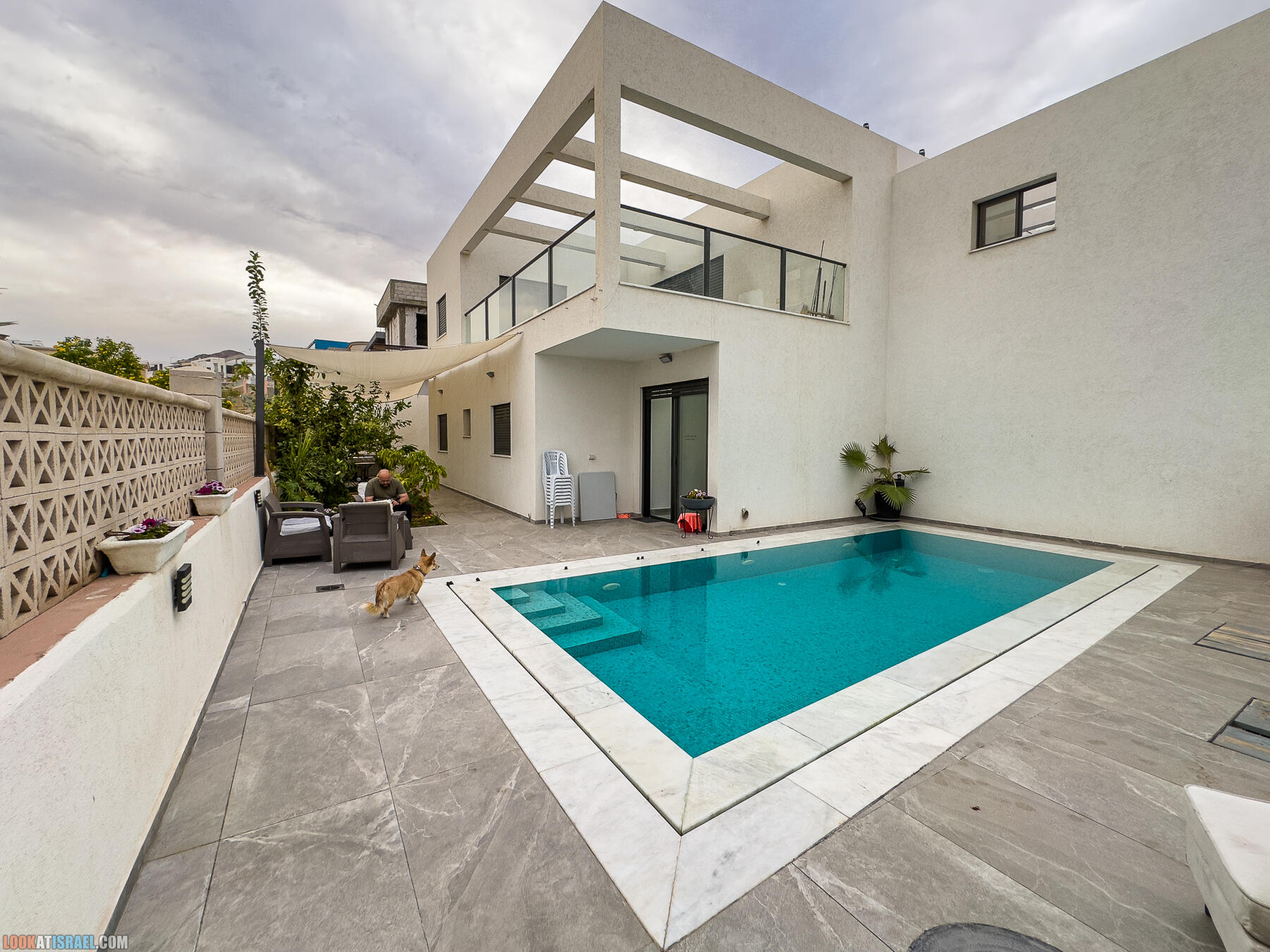 Путешествие корги на джипе в Эйлат и долину Арава - Махтеш Рамон, стена аммонитов, дюна Касуй, каньон Атек, дюна Самар, дум пальмы