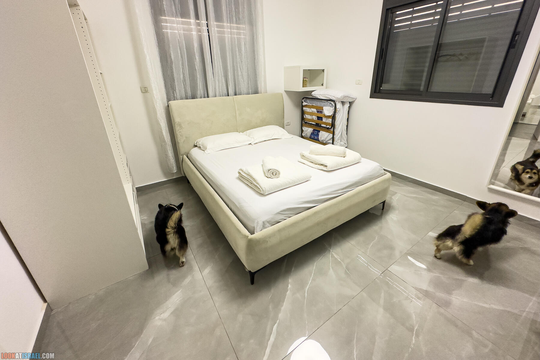 Путешествие корги на джипе в Эйлат и долину Арава - Махтеш Рамон, стена аммонитов, дюна Касуй, каньон Атек, дюна Самар, дум пальмы