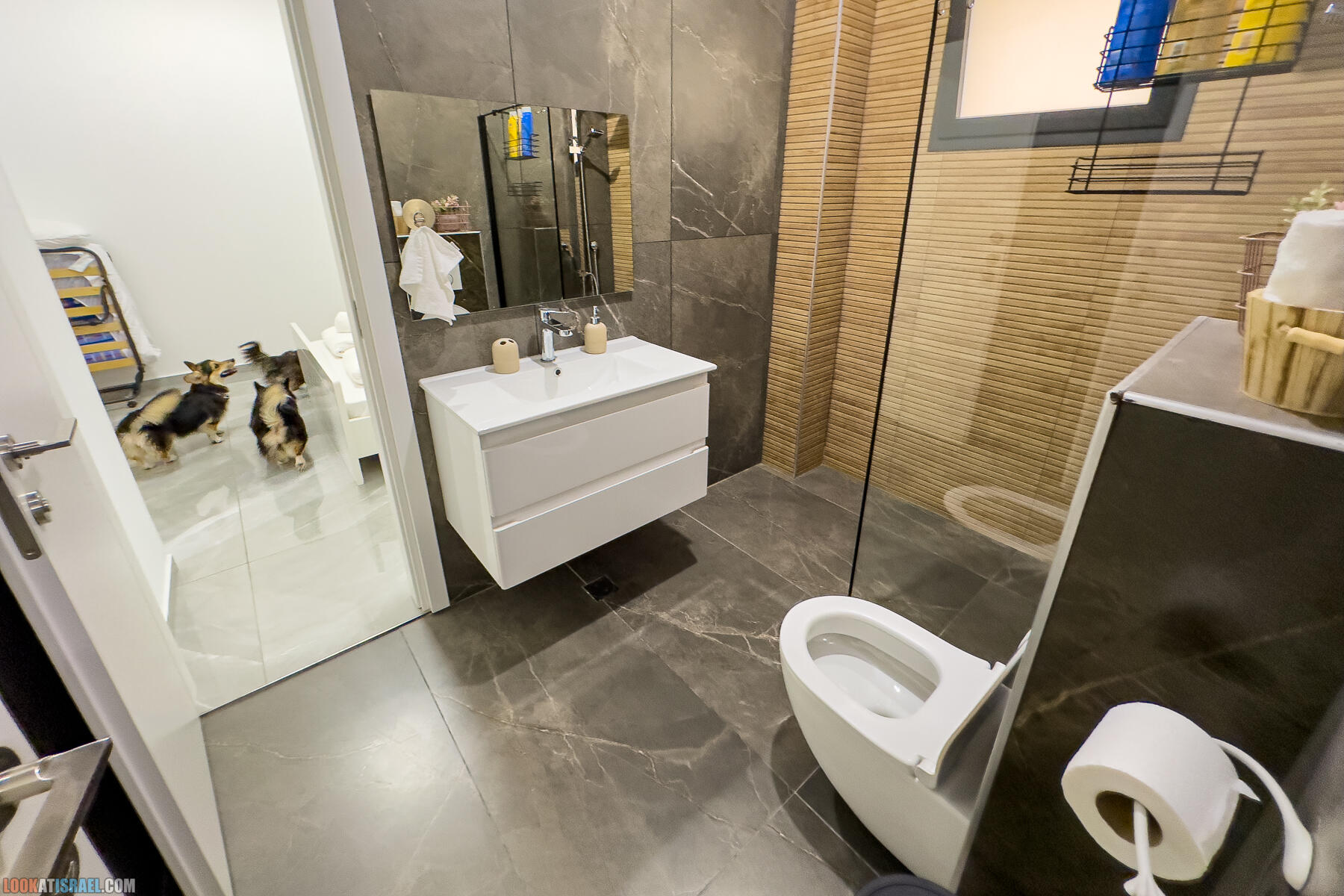 Путешествие корги на джипе в Эйлат и долину Арава - Махтеш Рамон, стена аммонитов, дюна Касуй, каньон Атек, дюна Самар, дум пальмы