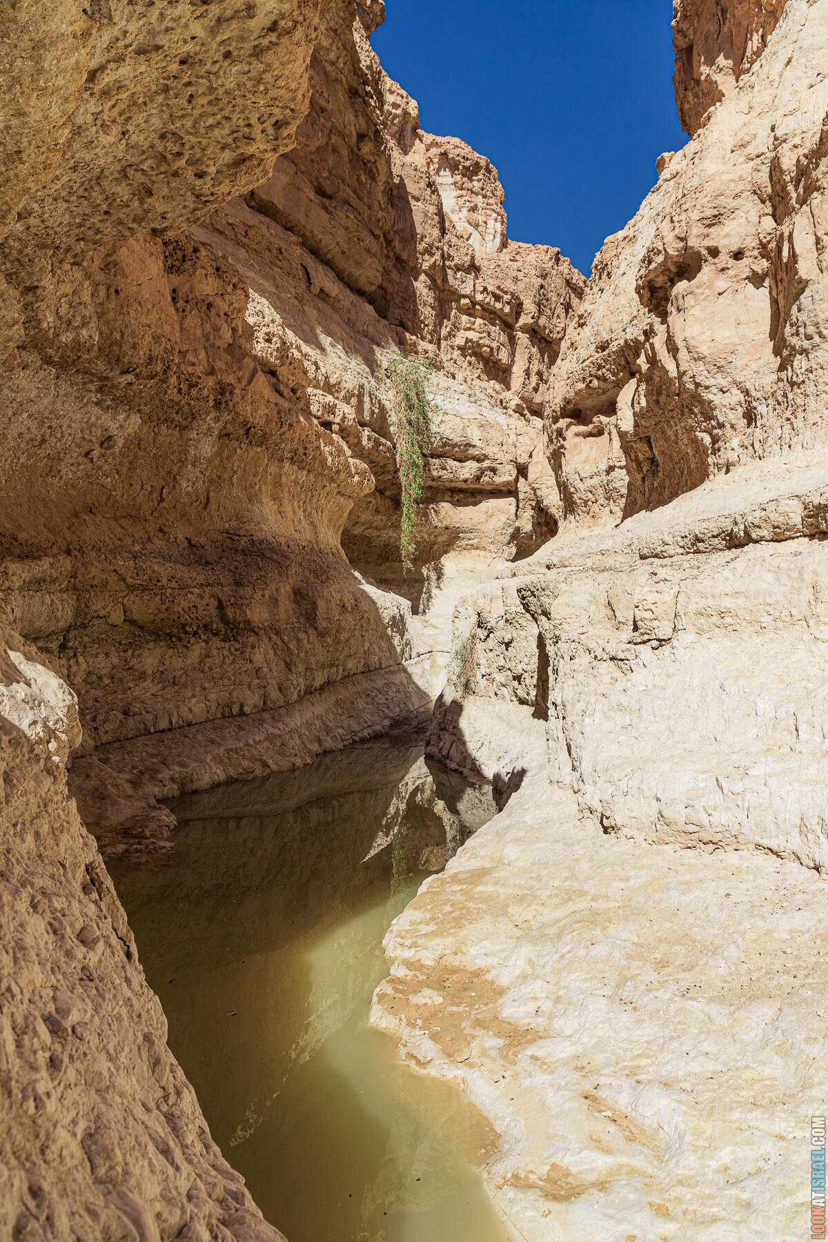 Ущелье Габей  Этек (Атак) - Gabei Etek - גבי עתק