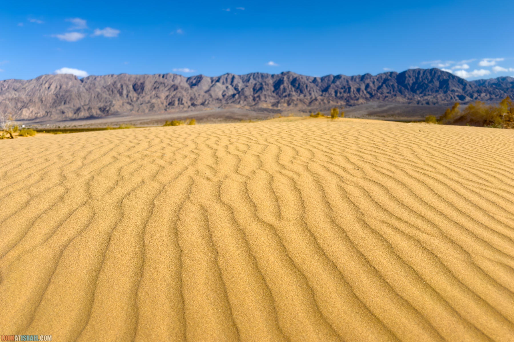 Дюны Самар, долина Арава - Samar sands, Arava - חולות סמר