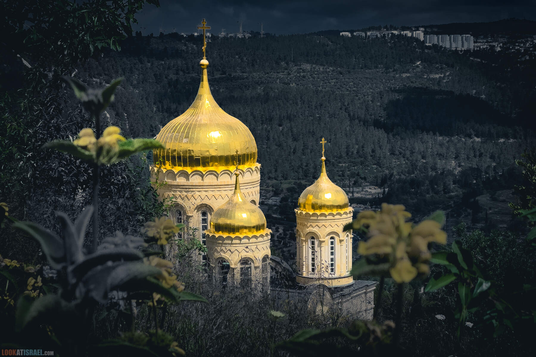 Одно фото Горненского