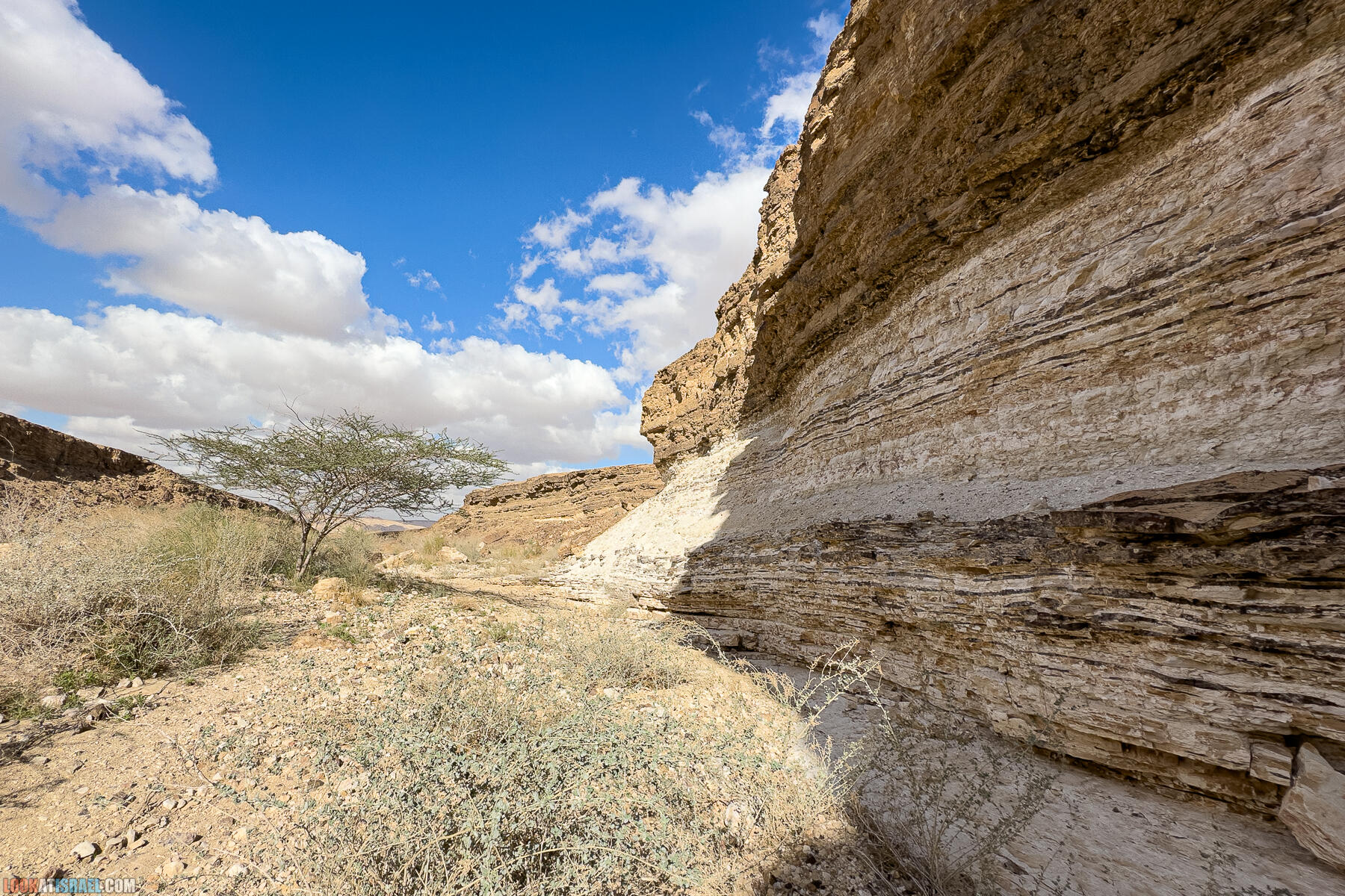 Долина Арава на джипах за два дня - Долина Цин, нахаль и маале Марзева, источник Эйн Ум-Тина, водопад Хагор