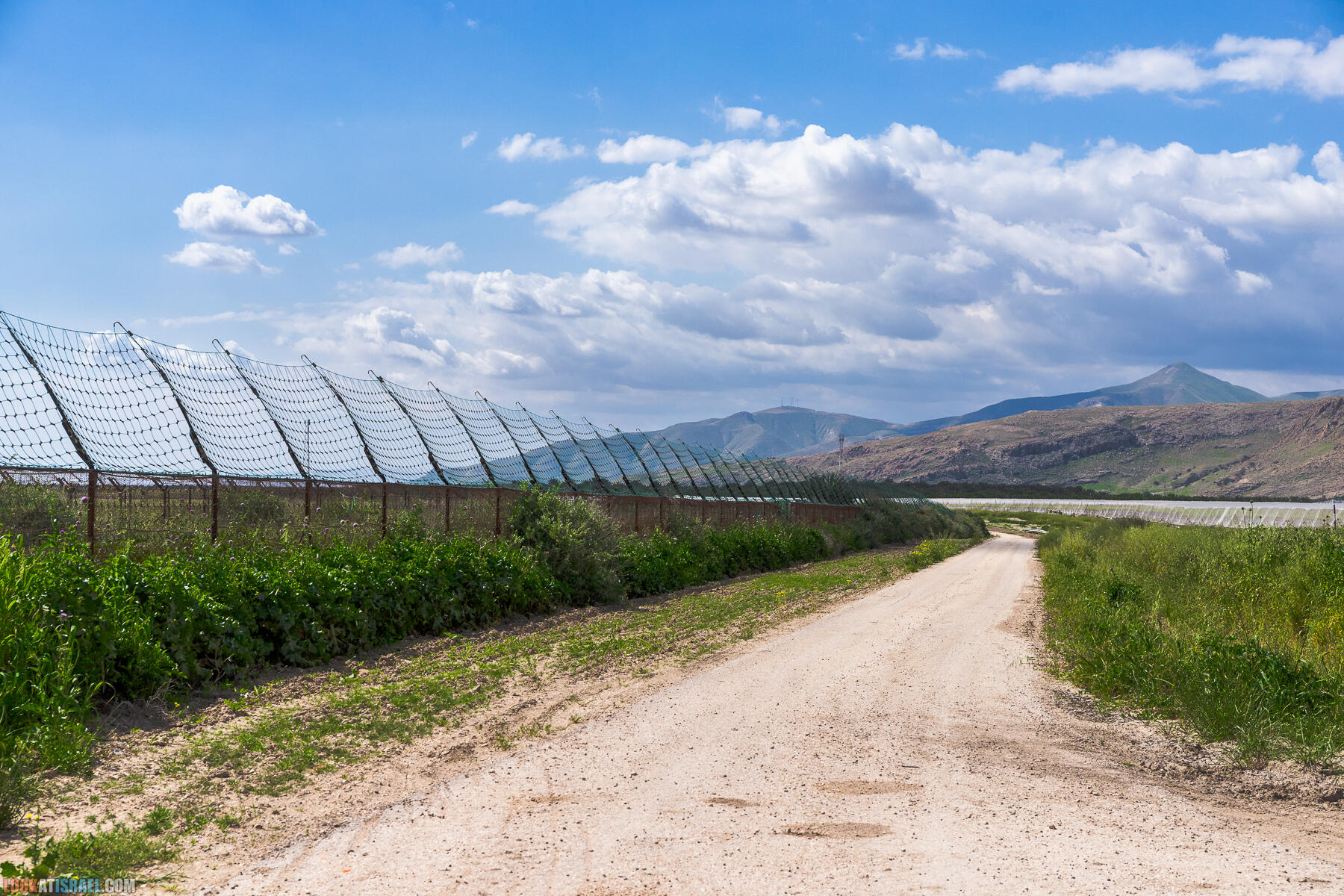 Фестиваль Зеленая Долина в Иорданской долине - скрытый водопад, источник Эйн Суккот, оборонительный пункт Зарзир