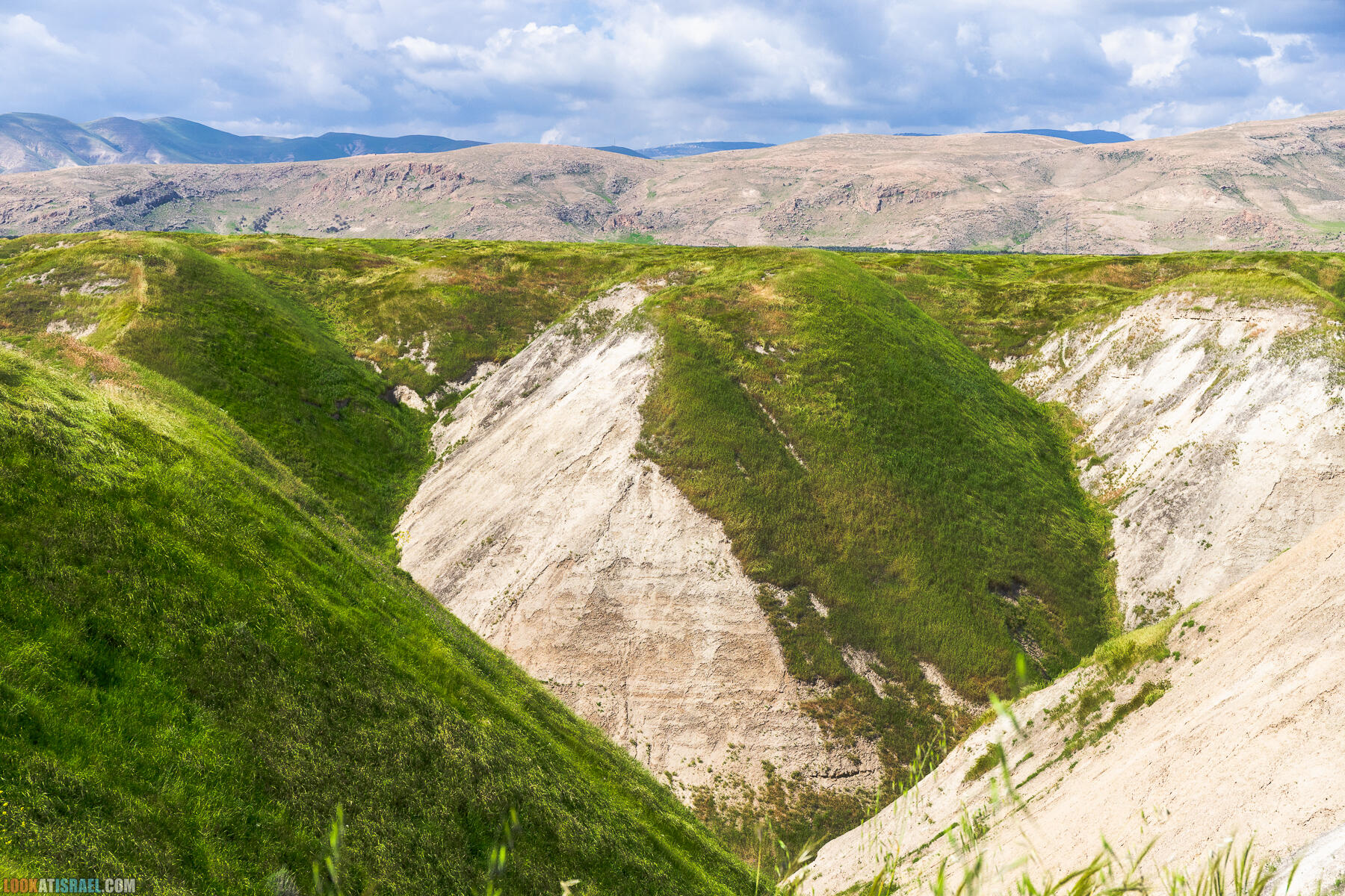 Фестиваль Зеленая Долина в Иорданской долине - скрытый водопад, источник Эйн Суккот, оборонительный пункт Зарзир