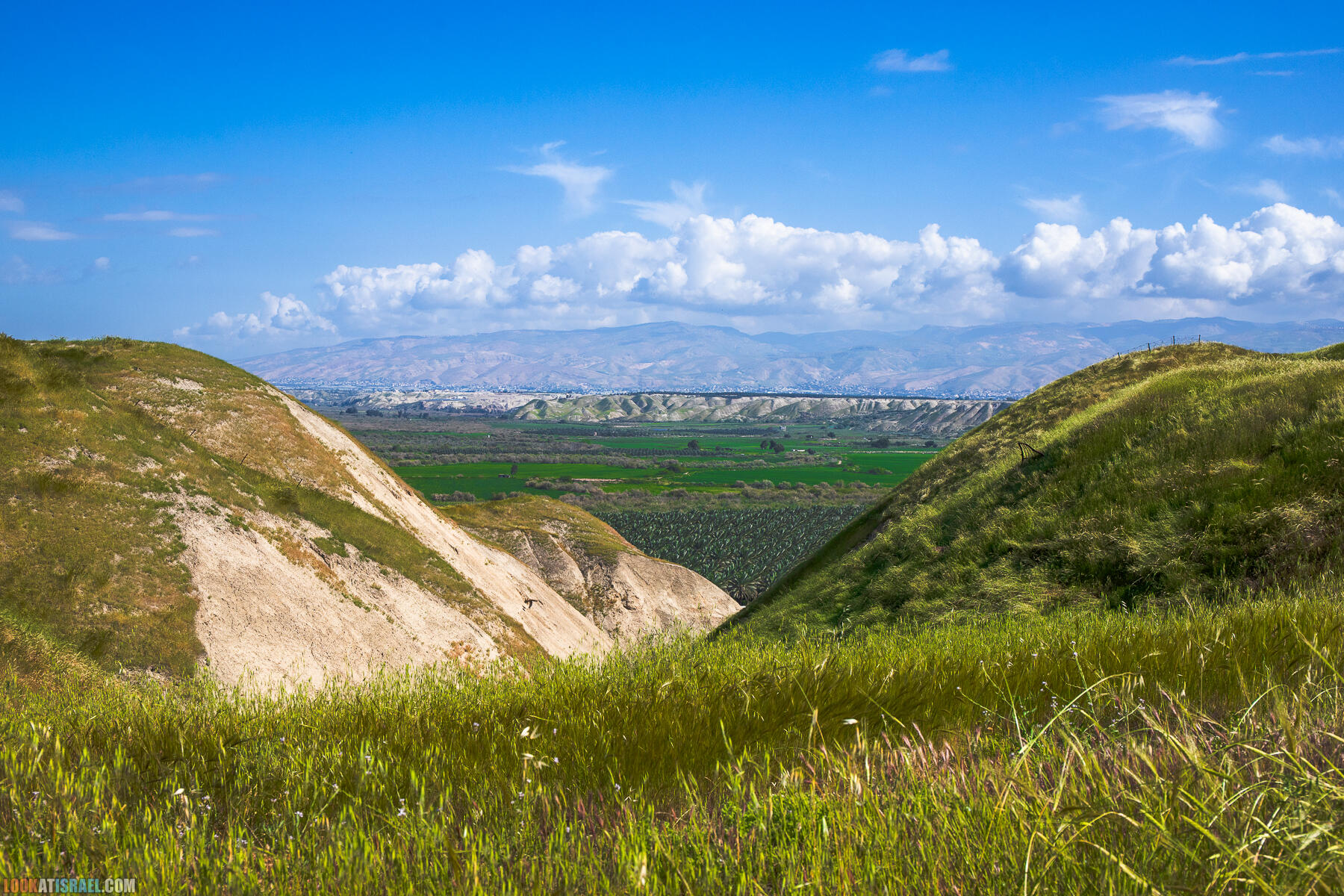 Фестиваль Зеленая Долина в Иорданской долине - скрытый водопад, источник Эйн Суккот, оборонительный пункт Зарзир