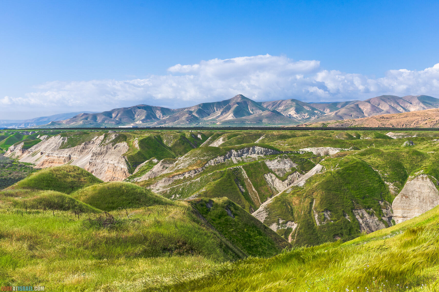 Фестиваль Зеленая Долина в Иорданской долине - скрытый водопад, источник Эйн Суккот, оборонительный пункт Зарзир