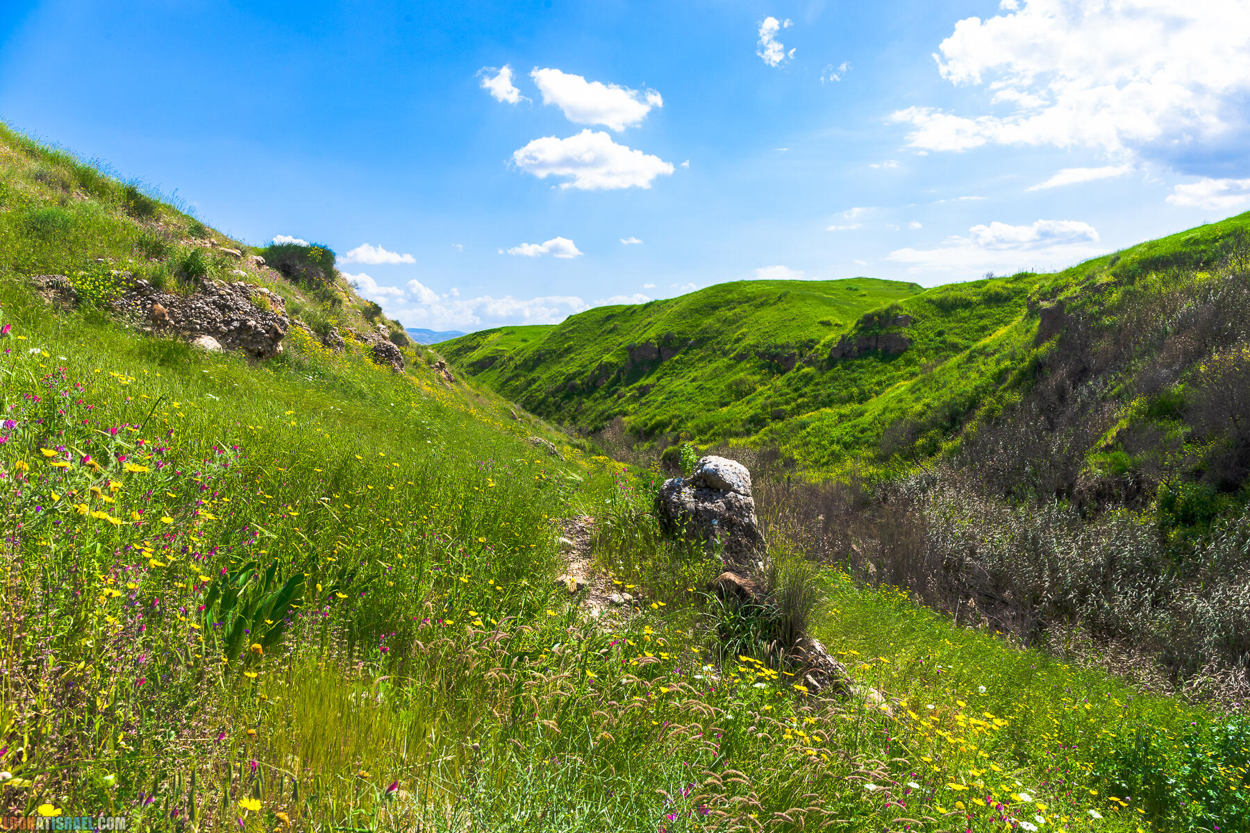 Фестиваль Зеленая Долина в Иорданской долине - скрытый водопад, источник Эйн Суккот, оборонительный пункт Зарзир