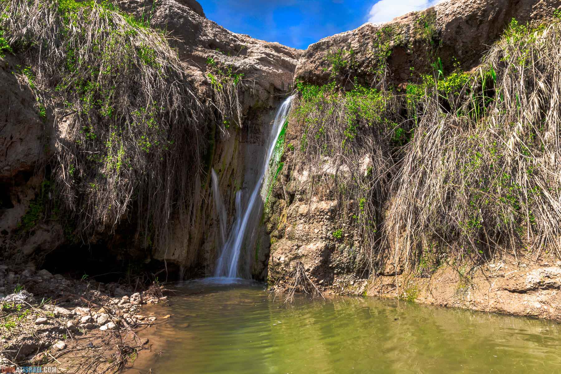 Фестиваль Зеленая Долина в Иорданской долине - скрытый водопад, источник Эйн Суккот, оборонительный пункт Зарзир