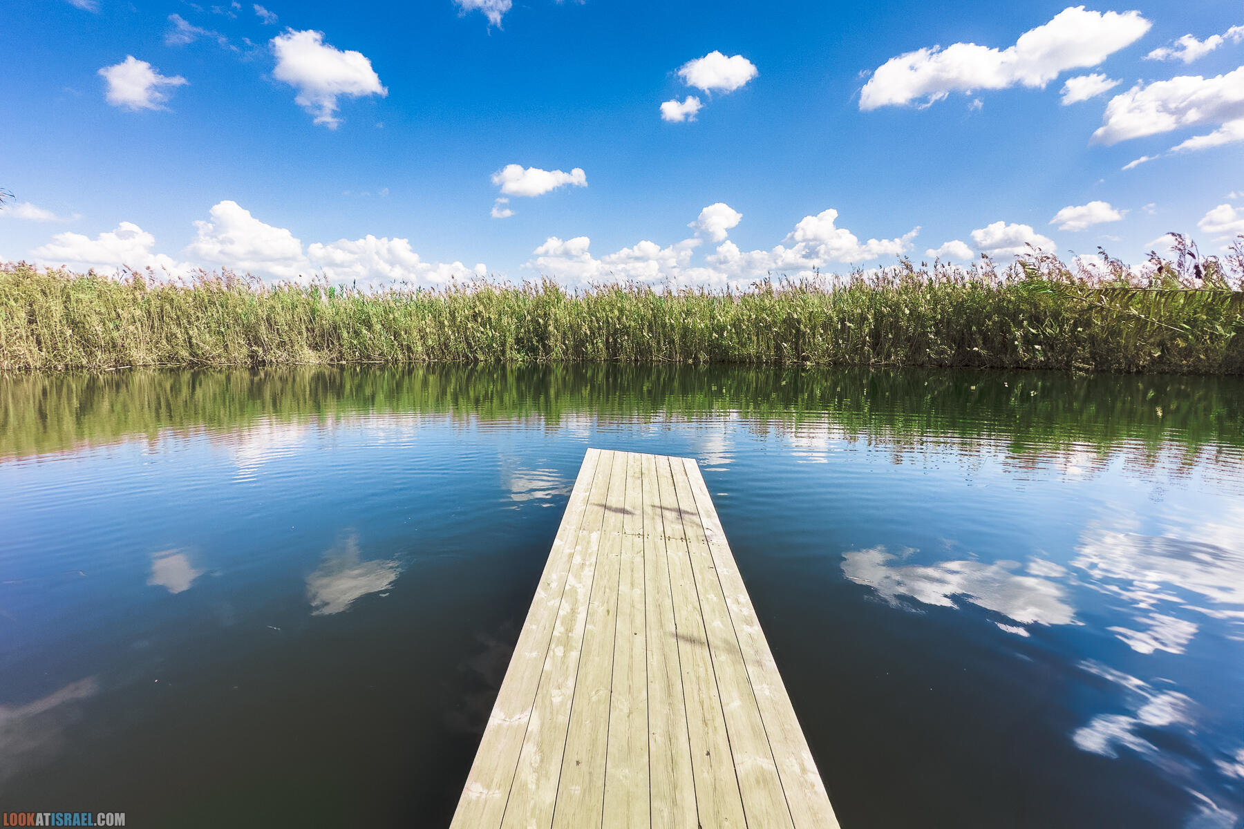 Фестиваль Зеленая Долина в Иорданской долине - скрытый водопад, источник Эйн Суккот, оборонительный пункт Зарзир