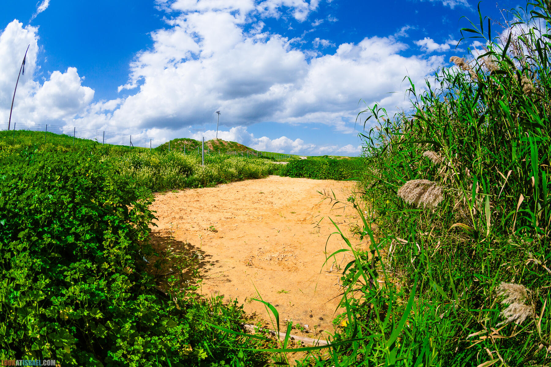 Фестиваль Зеленая Долина в Иорданской долине - скрытый водопад, источник Эйн Суккот, оборонительный пункт Зарзир