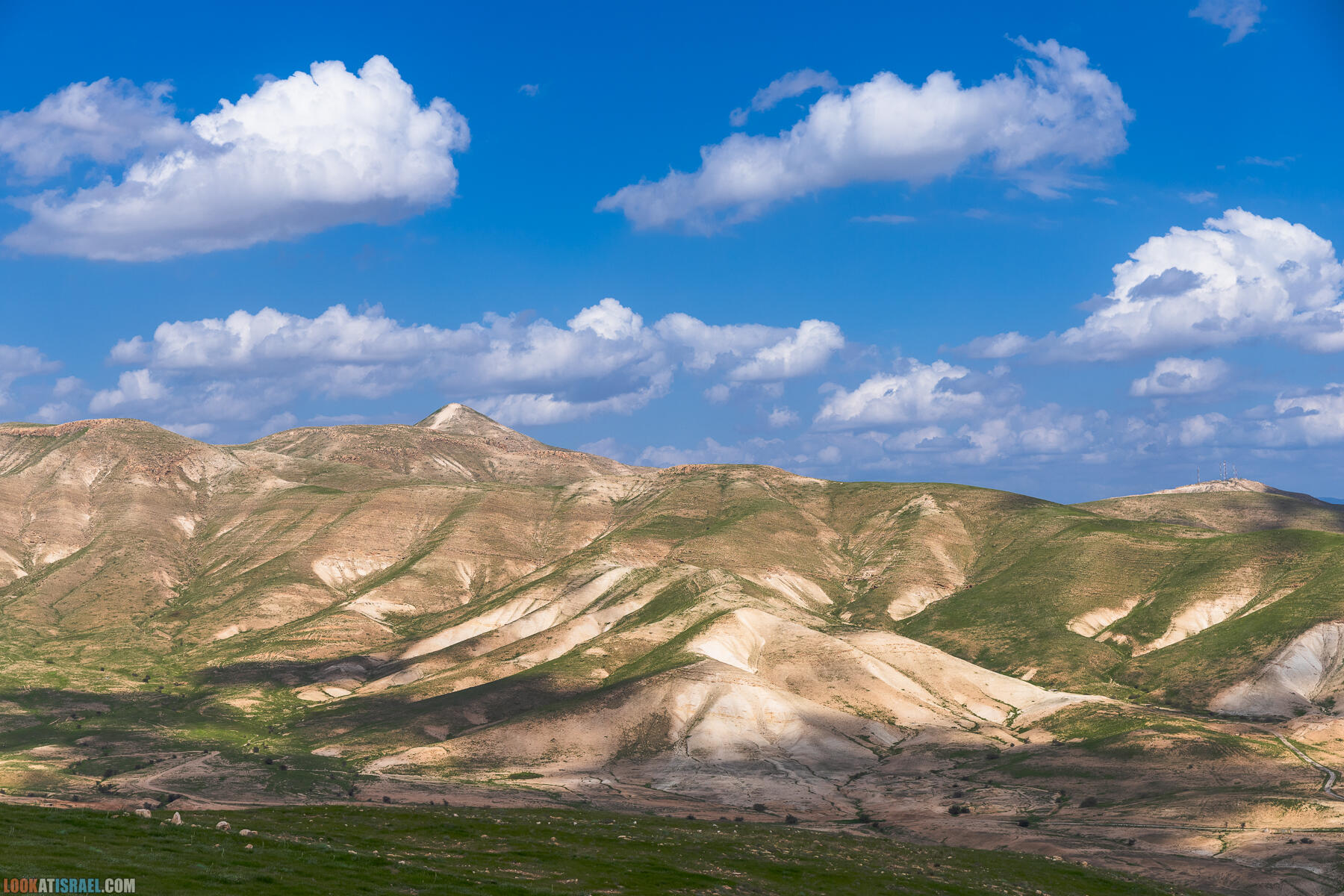 Фестиваль Зеленая Долина в Иорданской долине - скрытый водопад, источник Эйн Суккот, оборонительный пункт Зарзир