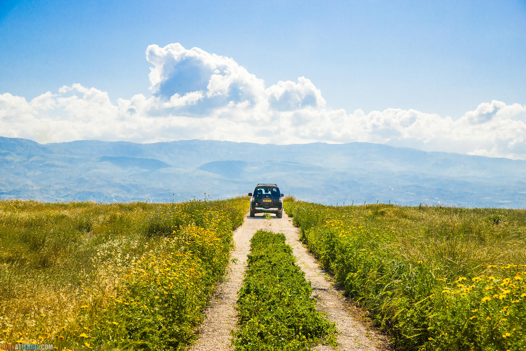 Фестиваль Зеленая Долина в Иорданской долине - скрытый водопад, источник Эйн Суккот, оборонительный пункт Зарзир