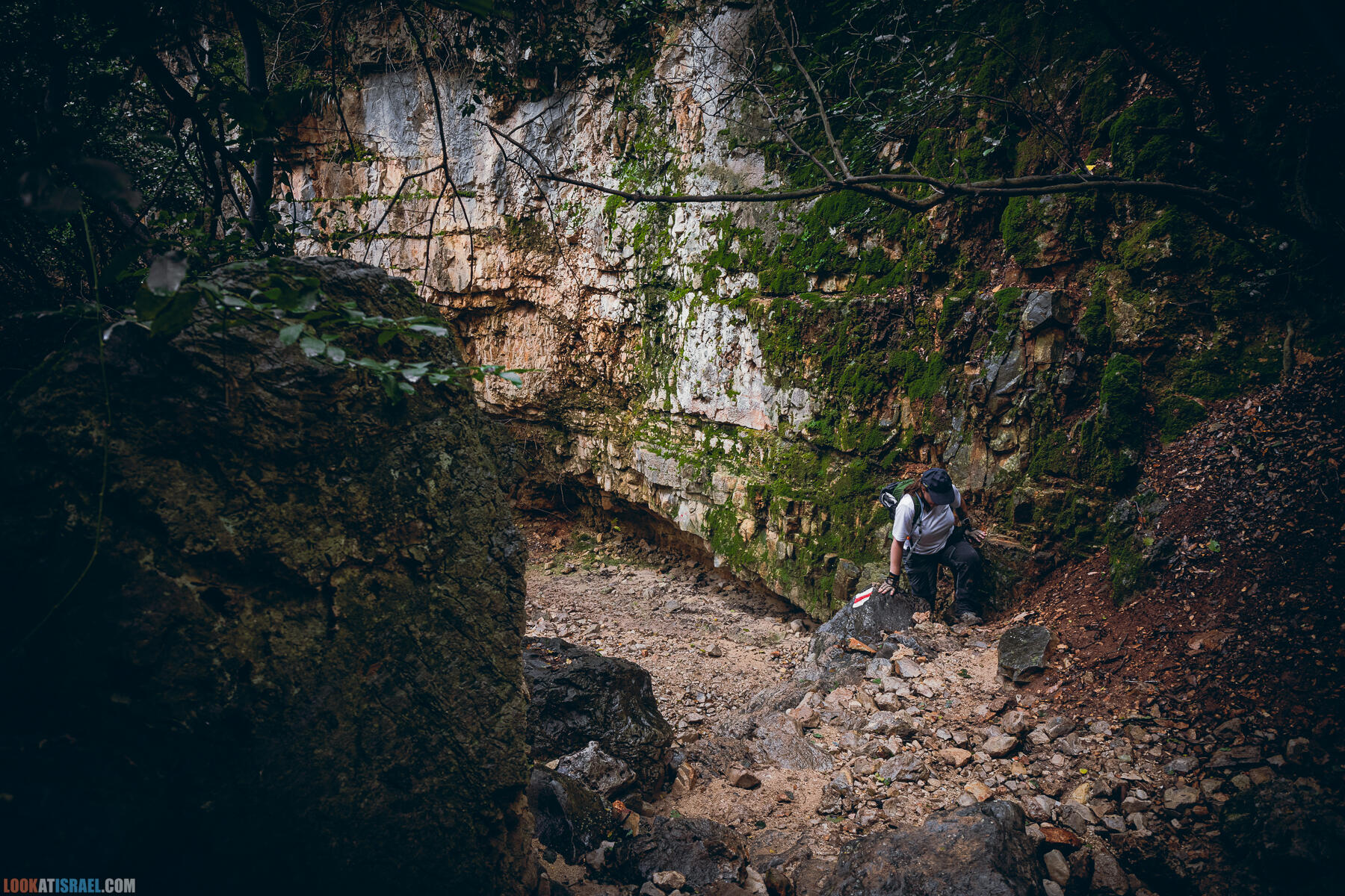 Поход после дождя по ущелью ручья Ягур, гора Кармель, весна 2024 - Yagur stream - נחל יגור