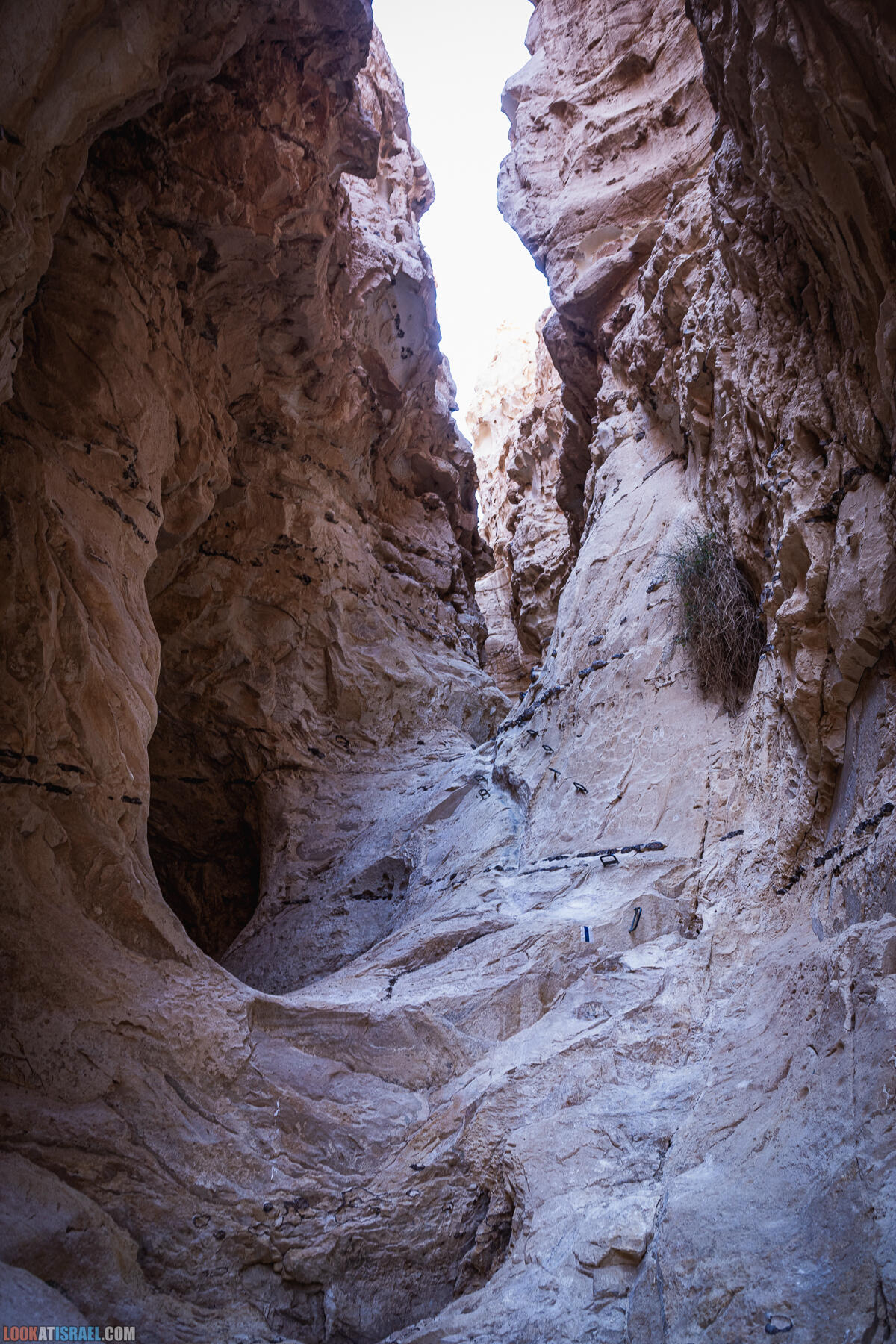Долина Арава, ущель Вардти - Canyon Vardit - מעוק ורדית