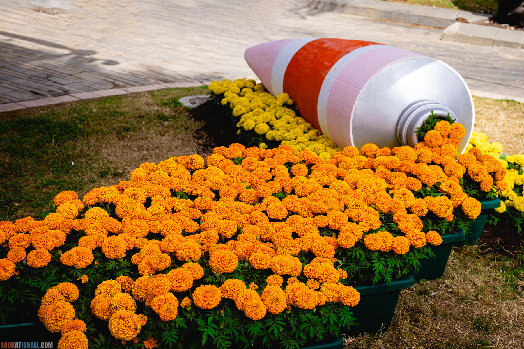 Выставка цветов в Тель-Авиве - Flowers expo in Tel Aviv - תערוכת פרחים בתל אביב