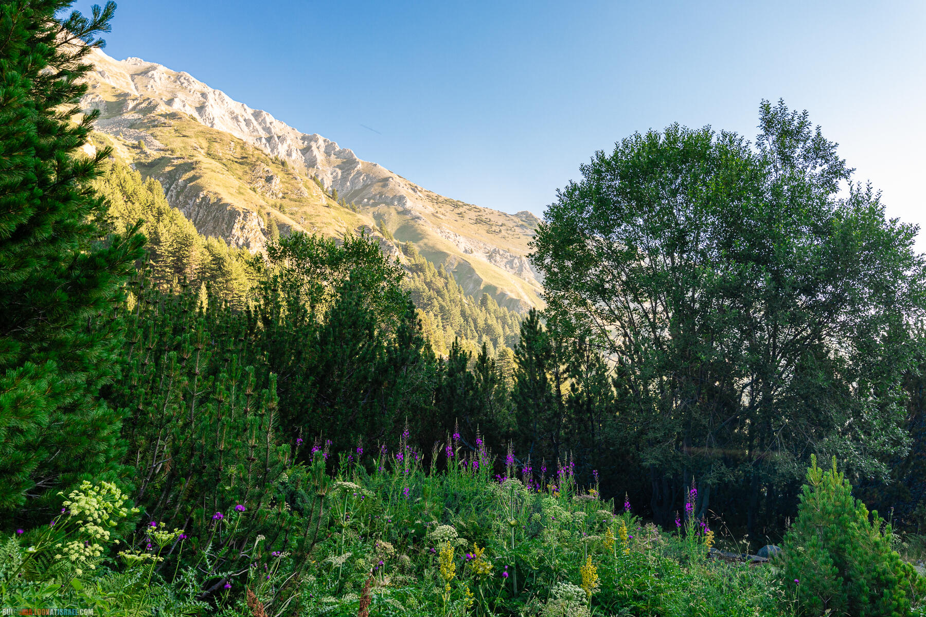 Болгары восхитили - Парк Пирин - поход к озерам