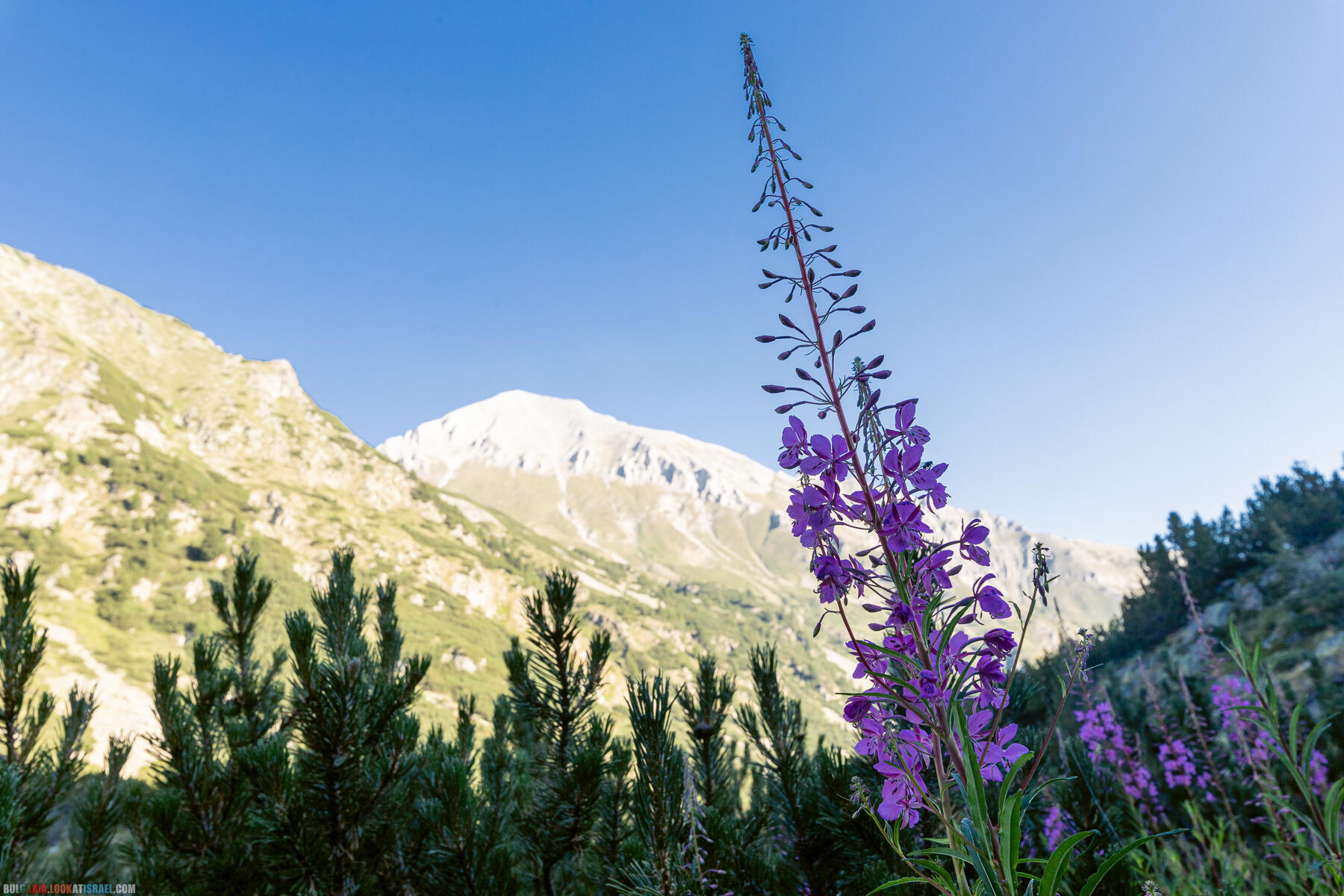 Болгары восхитили - Парк Пирин - поход к озерам