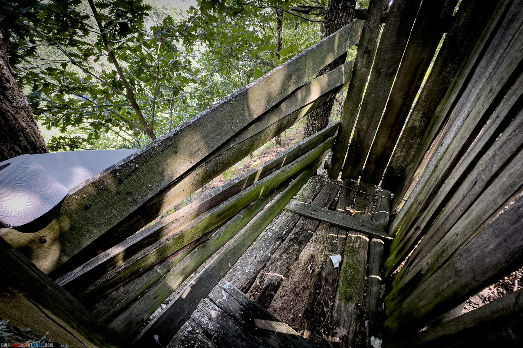 Болгары восхитили - Праздник Святой Марины
