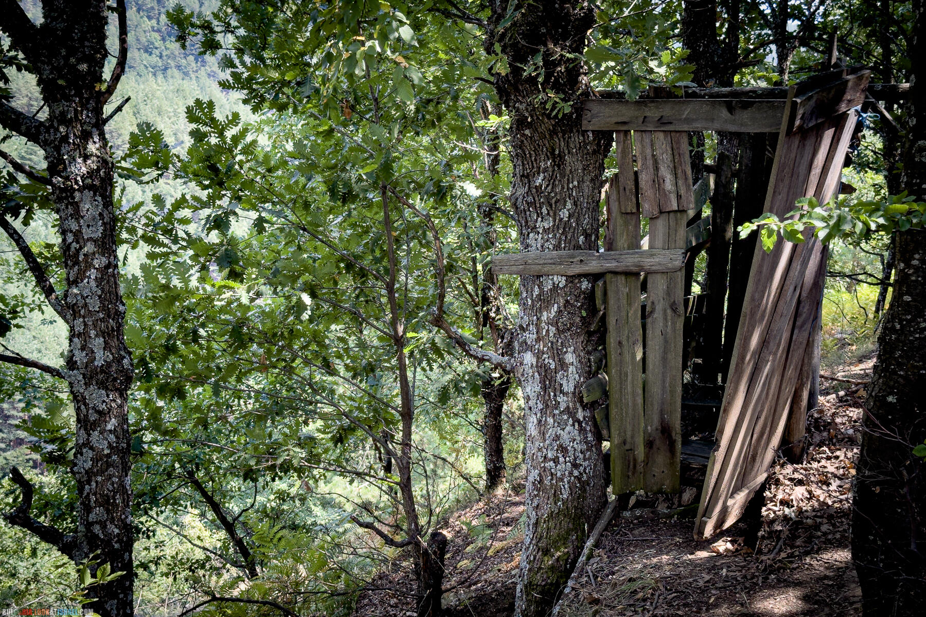 Болгары восхитили - Праздник Святой Марины
