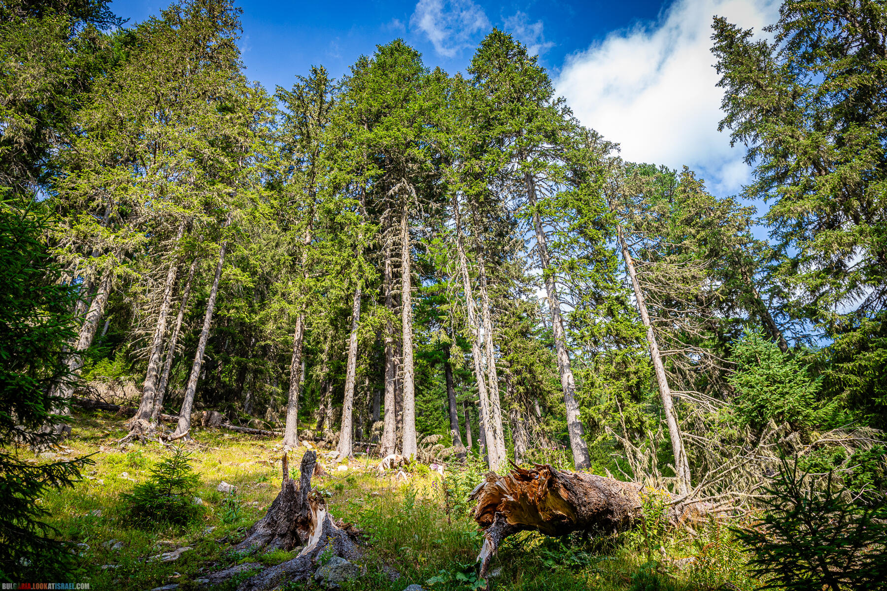 Болгары восхитили - Озера Пиринских Гор