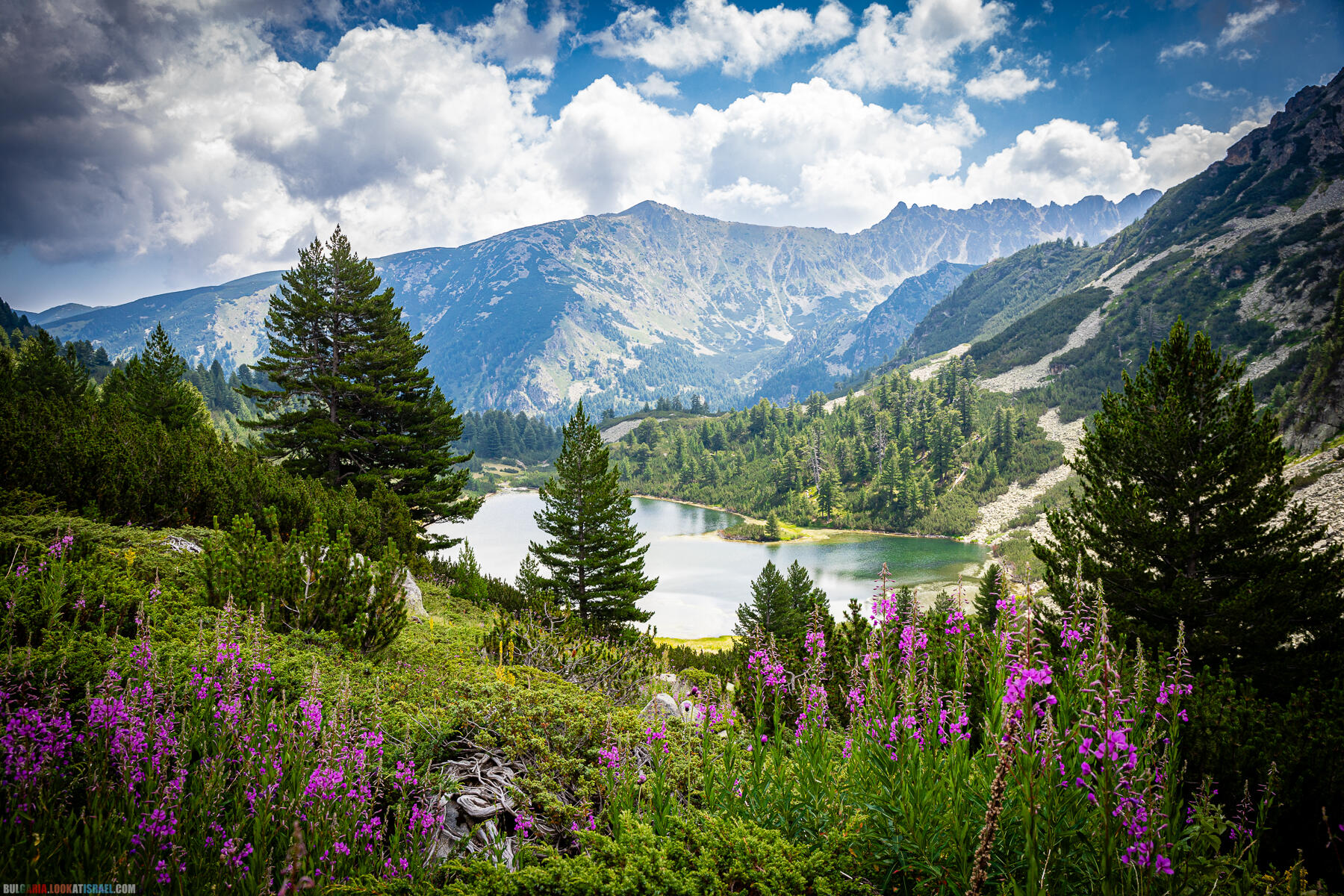 Болгары восхитили — Чем дальше озеро, тем слаще ягода