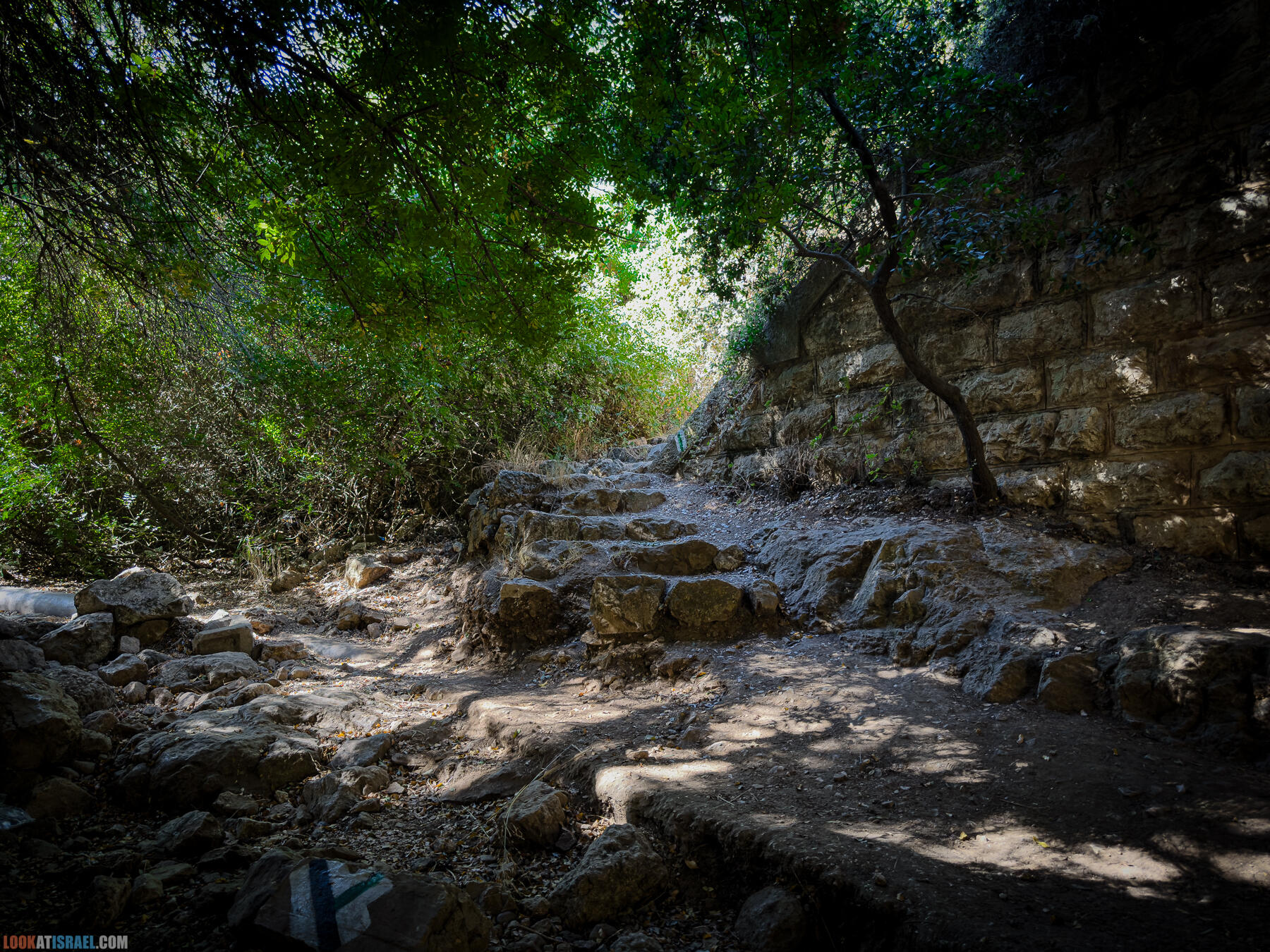 Ущелье Катлав во всех своих вариациях