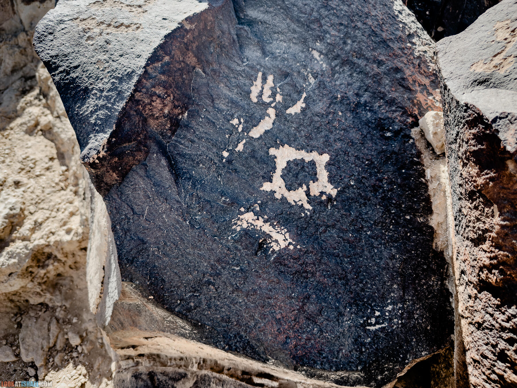 Петроглифы и обзорная площадка Липа Галь