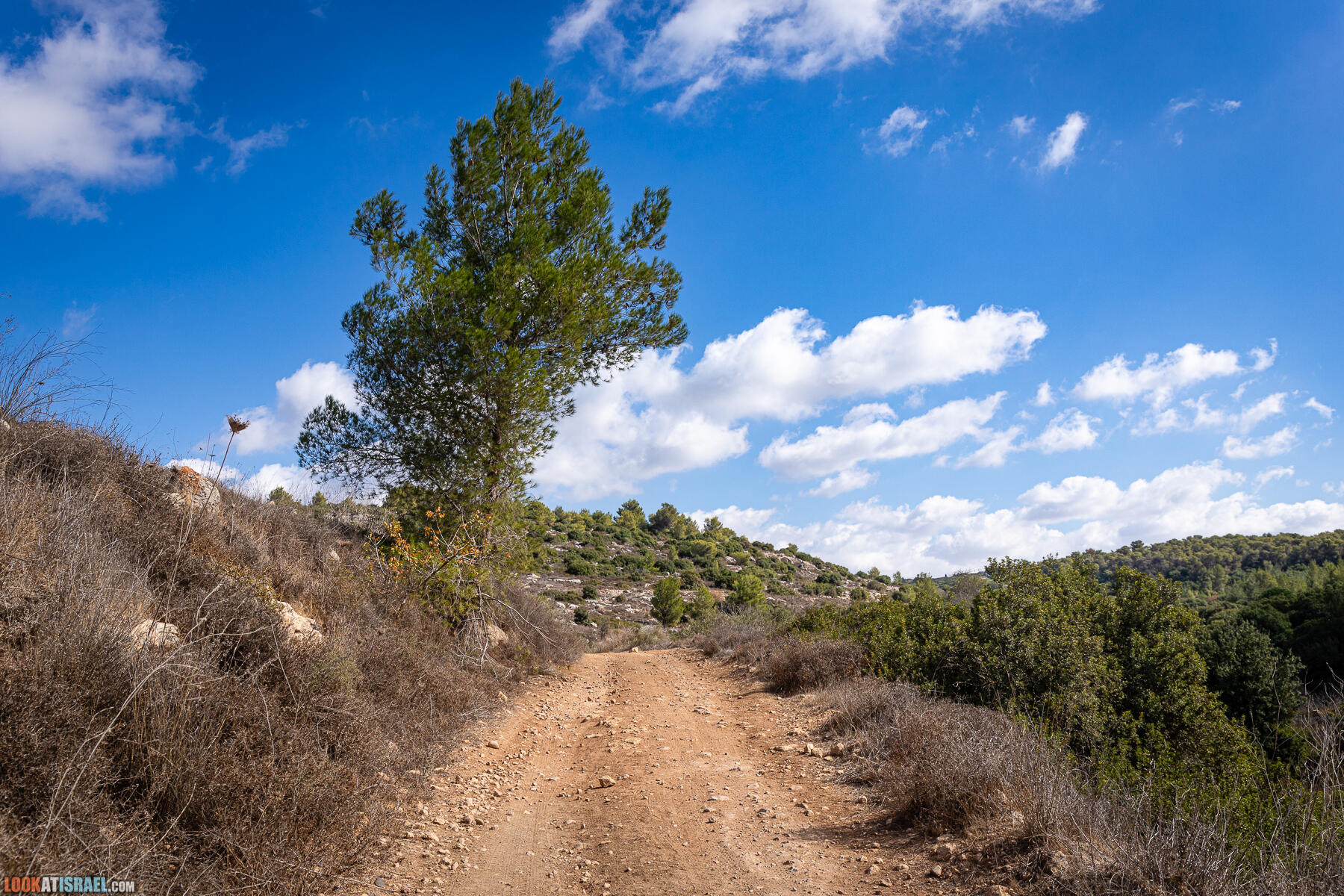 Пеший маршрут в Иерусалимских горах - Эйн Танур, Эйн Озен, Хирбет Дурбан