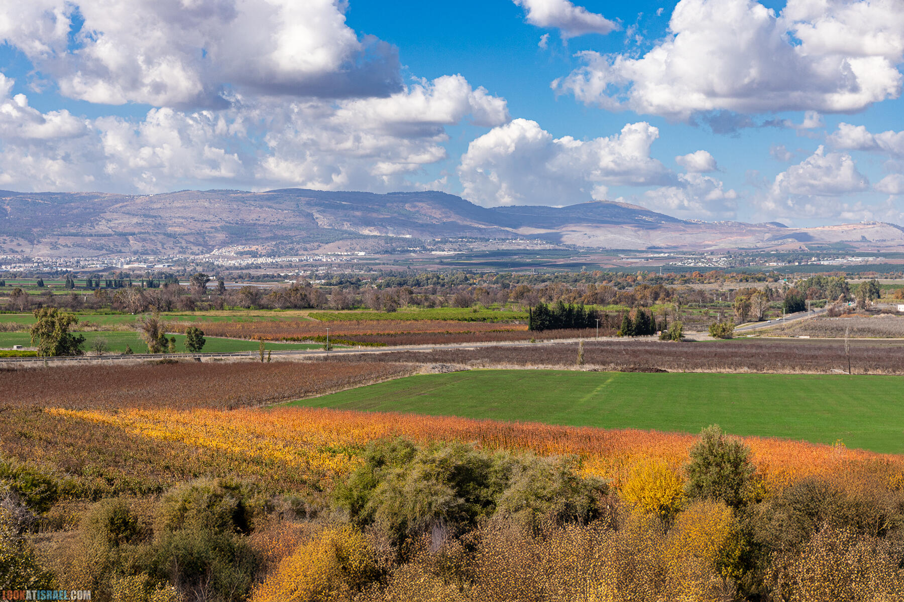 Мирный север