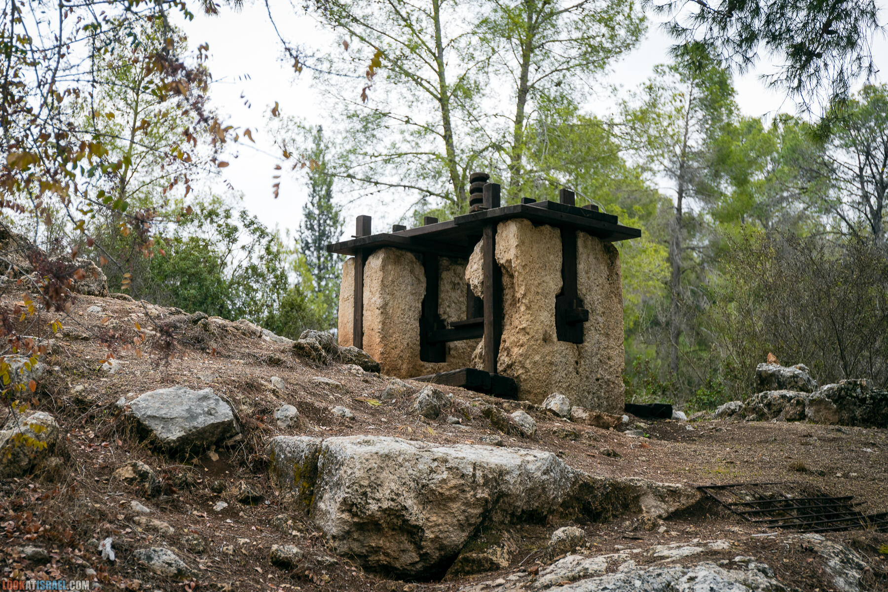 Прогулки с собакой в Израиле - Тропа Цезаря и ущелье кузнечиков в Иерусалимских горах и