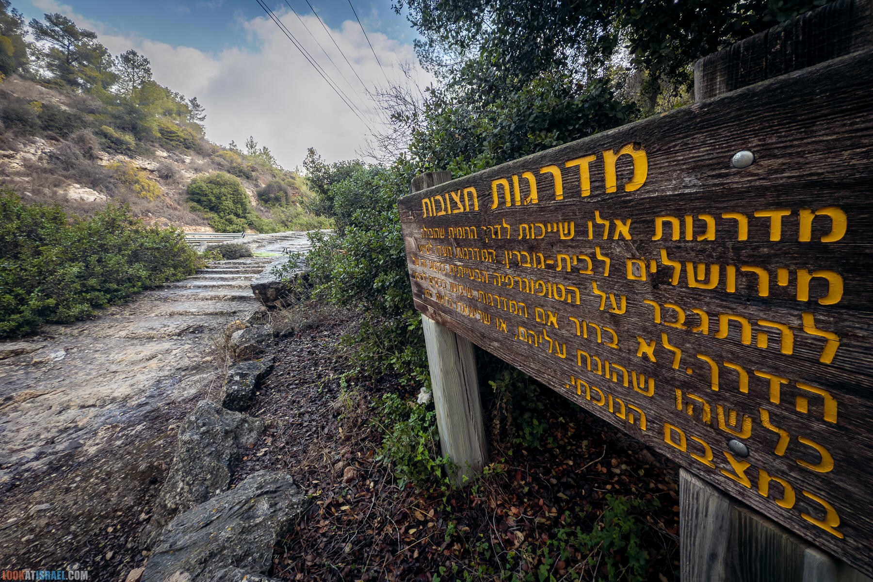 Прогулки с собакой в Израиле - Тропа Цезаря и ущелье кузнечиков в Иерусалимских горах и