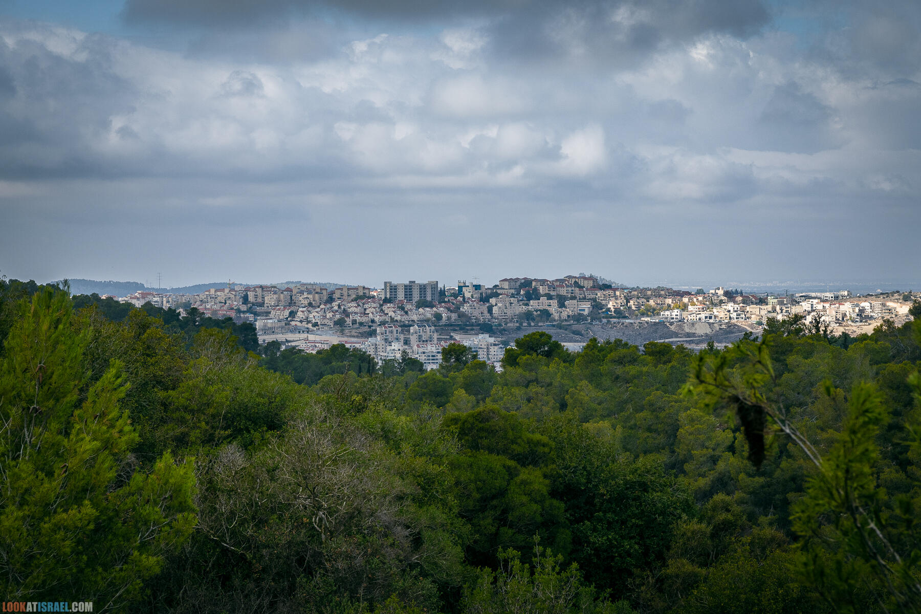 Прогулки с собакой в Израиле - Тропа Цезаря и ущелье кузнечиков в Иерусалимских горах и