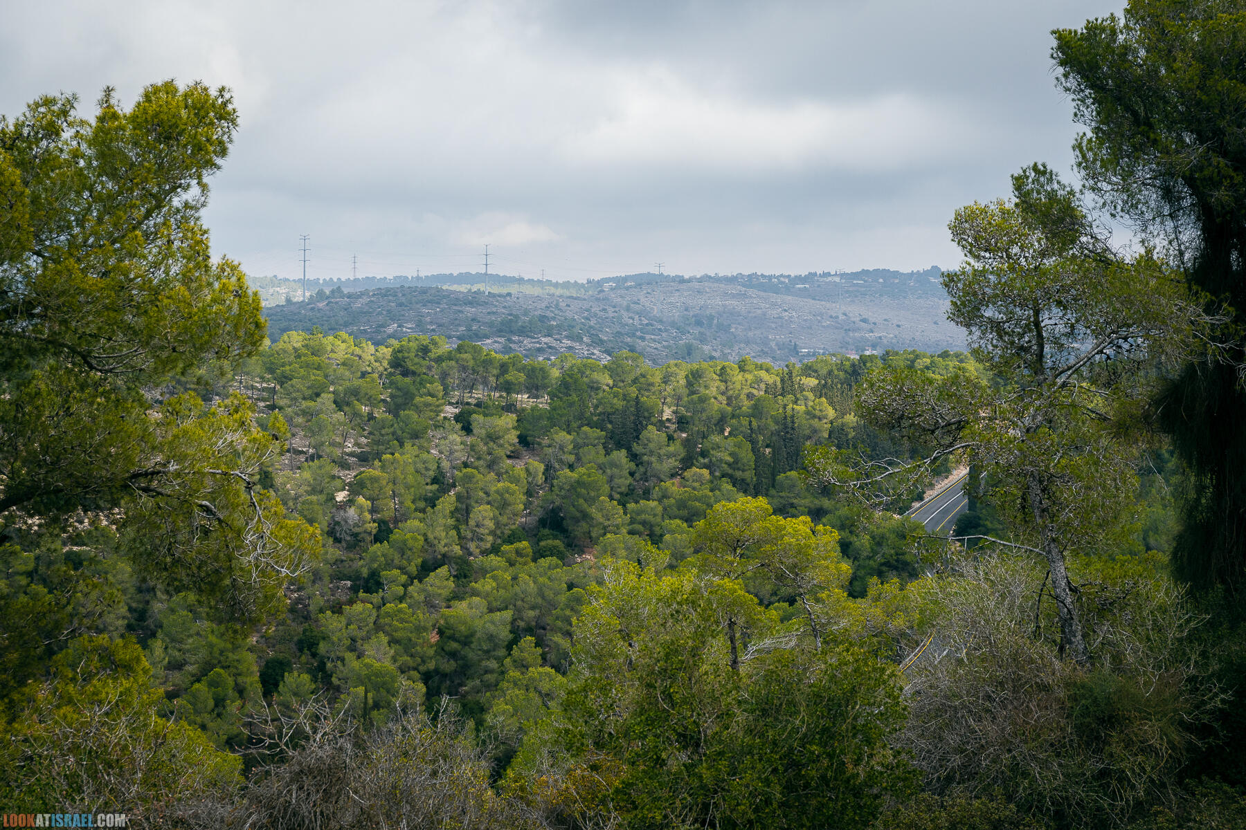 Прогулки с собакой в Израиле - Тропа Цезаря и ущелье кузнечиков в Иерусалимских горах и