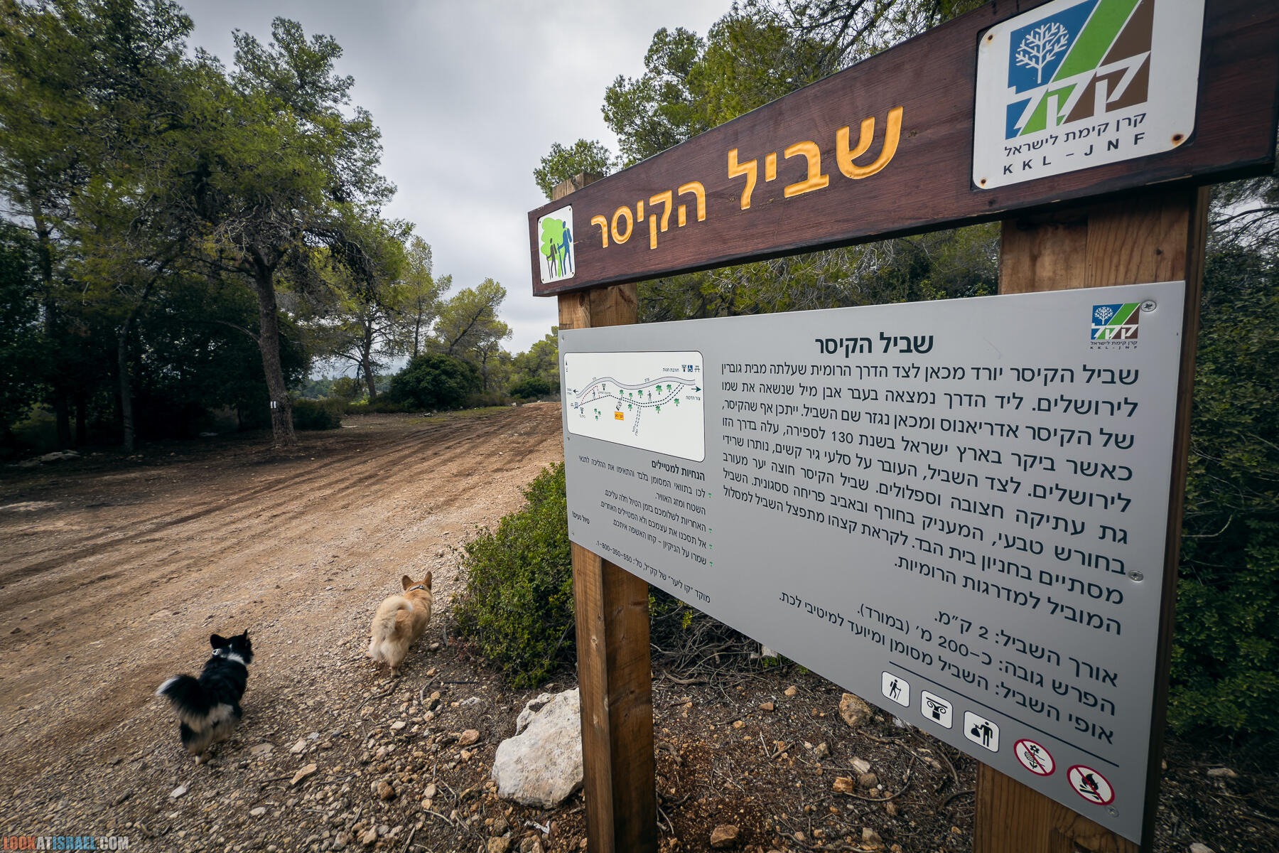 Прогулки с собакой в Израиле - Тропа Цезаря и ущелье кузнечиков в Иерусалимских горах и