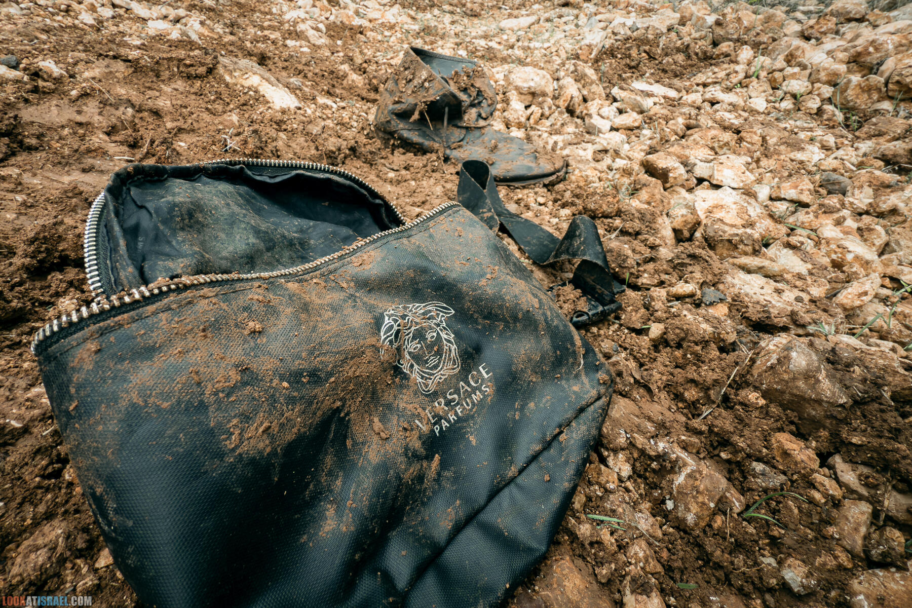 Прогулки с собакой в Израиле - Тропа Цезаря и ущелье кузнечиков в Иерусалимских горах и