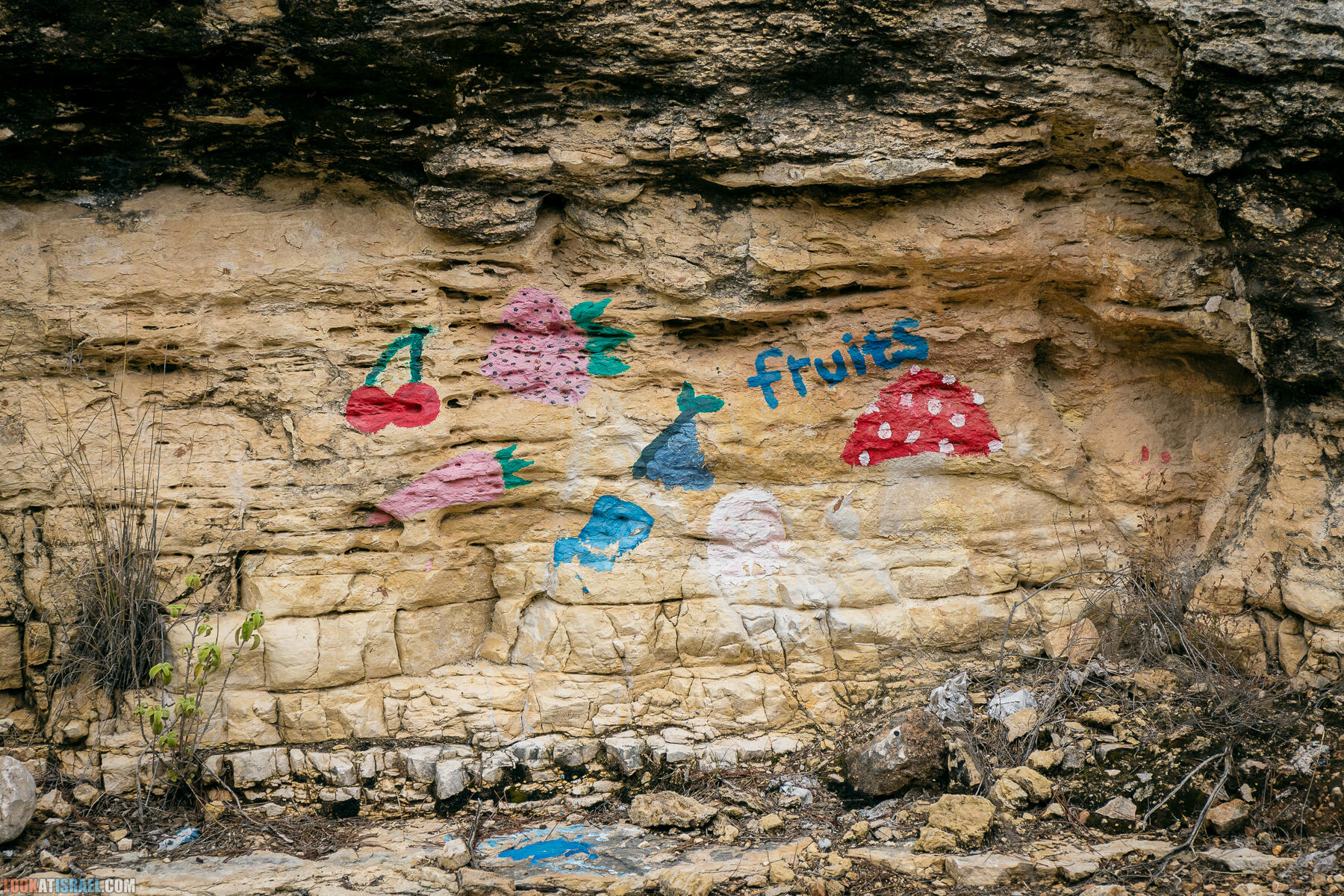 Прогулки с собакой в Израиле - Тропа Цезаря и ущелье кузнечиков в Иерусалимских горах и