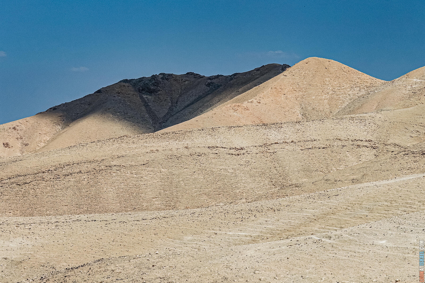 Двухдневное путешествие по Иудейской пустыне на внедорожниках