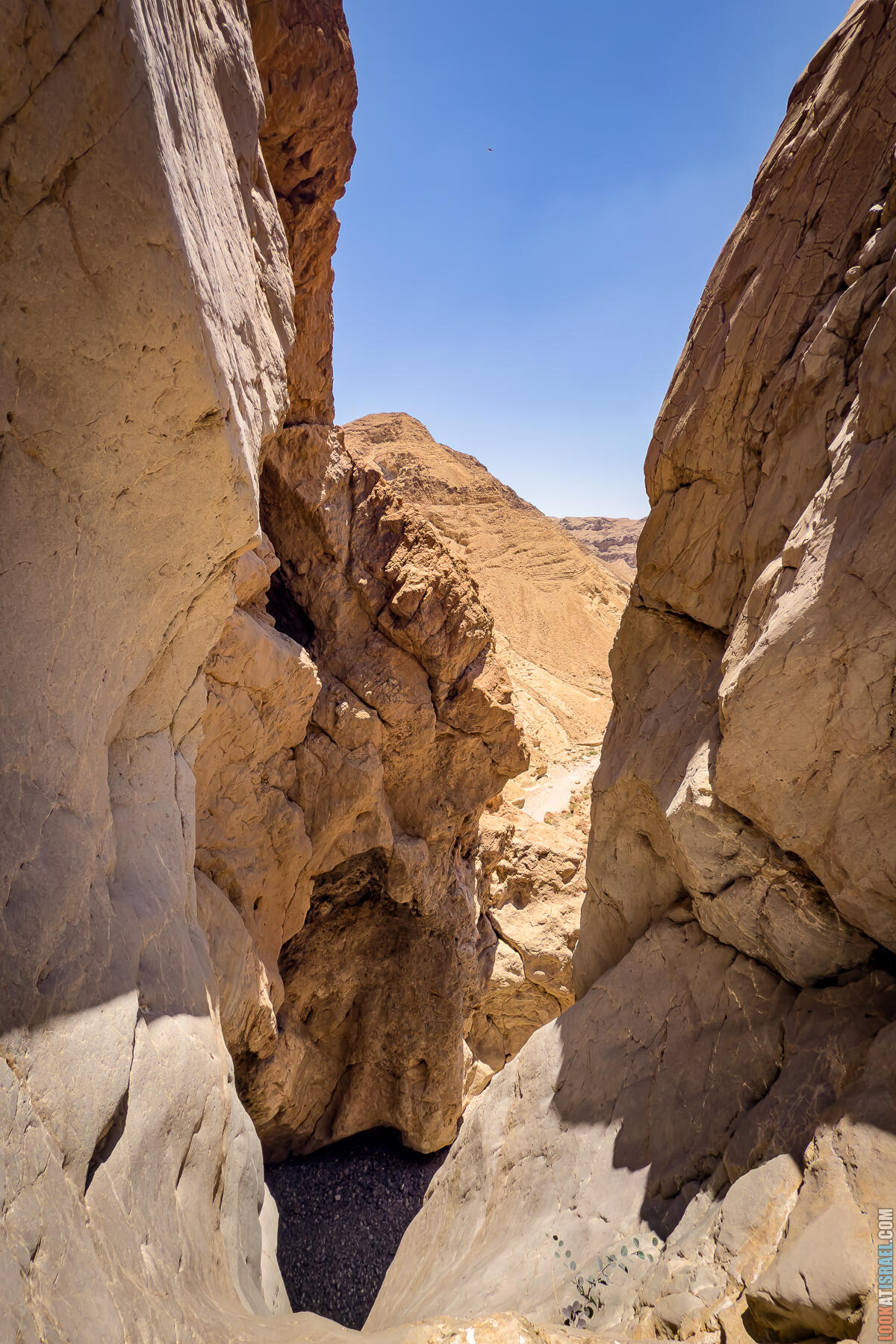 Двухдневное путешествие по Иудейской пустыне на внедорожниках