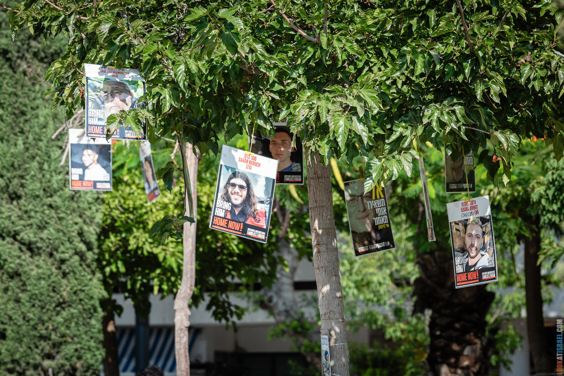 Возвращение домой: празднование на Площади заложников - חגיגות החזרת החטופים בתל אביב