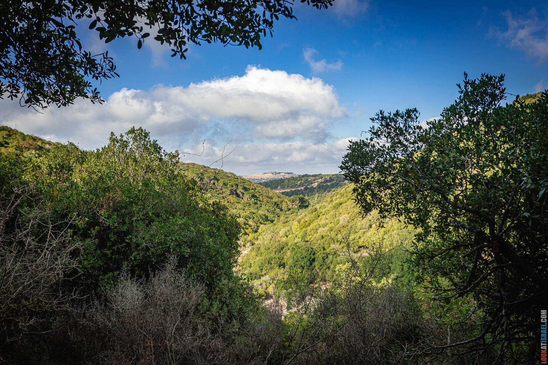 Гора Мерон - поход по ущелью костей -  руслу ручья Нахаль Моран