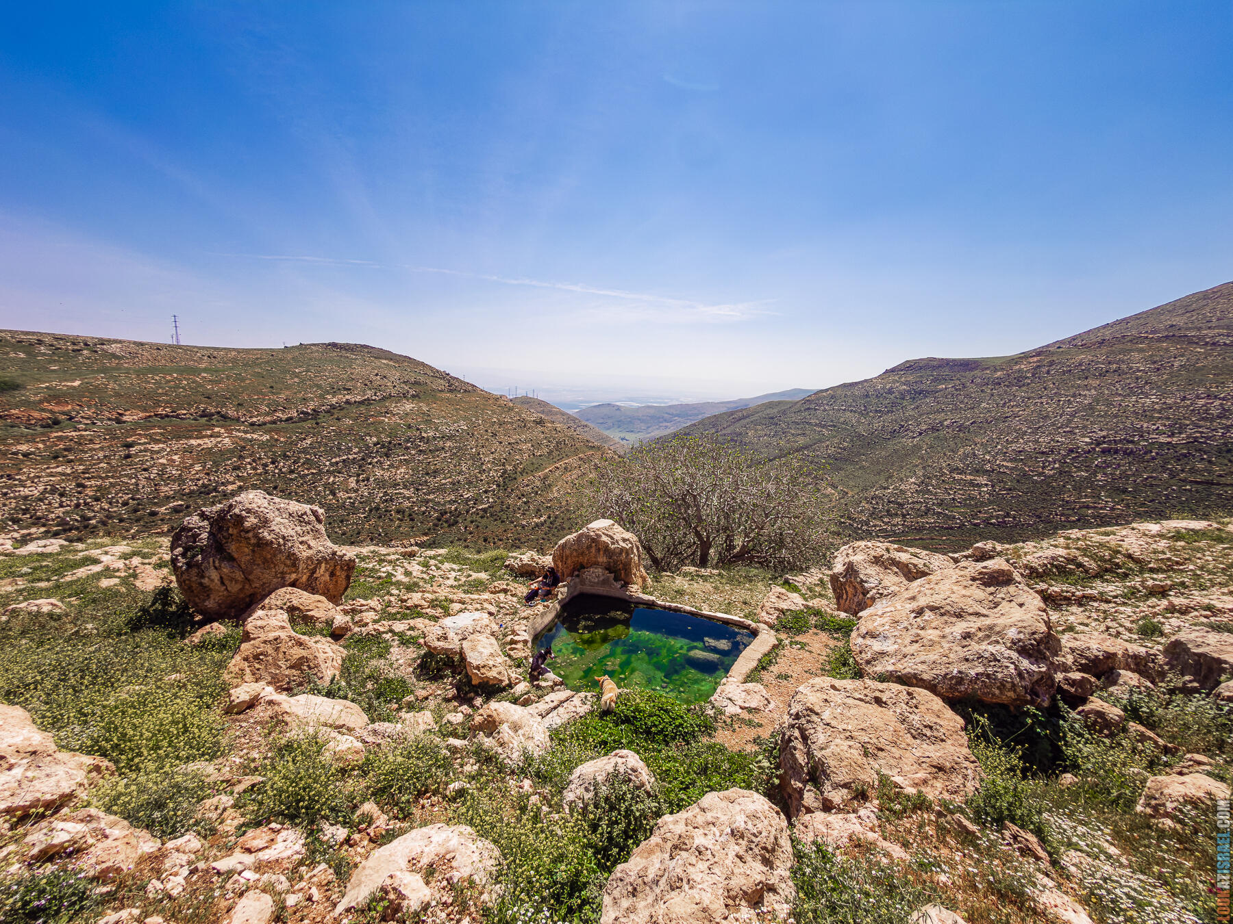 Эйн Мацав — Не может быть, что тут есть ирисы источник Эйн Аль Джаир (Эйн Мацав) - Ein Al Jahir - עין אל ג׳היר (עין מצב)